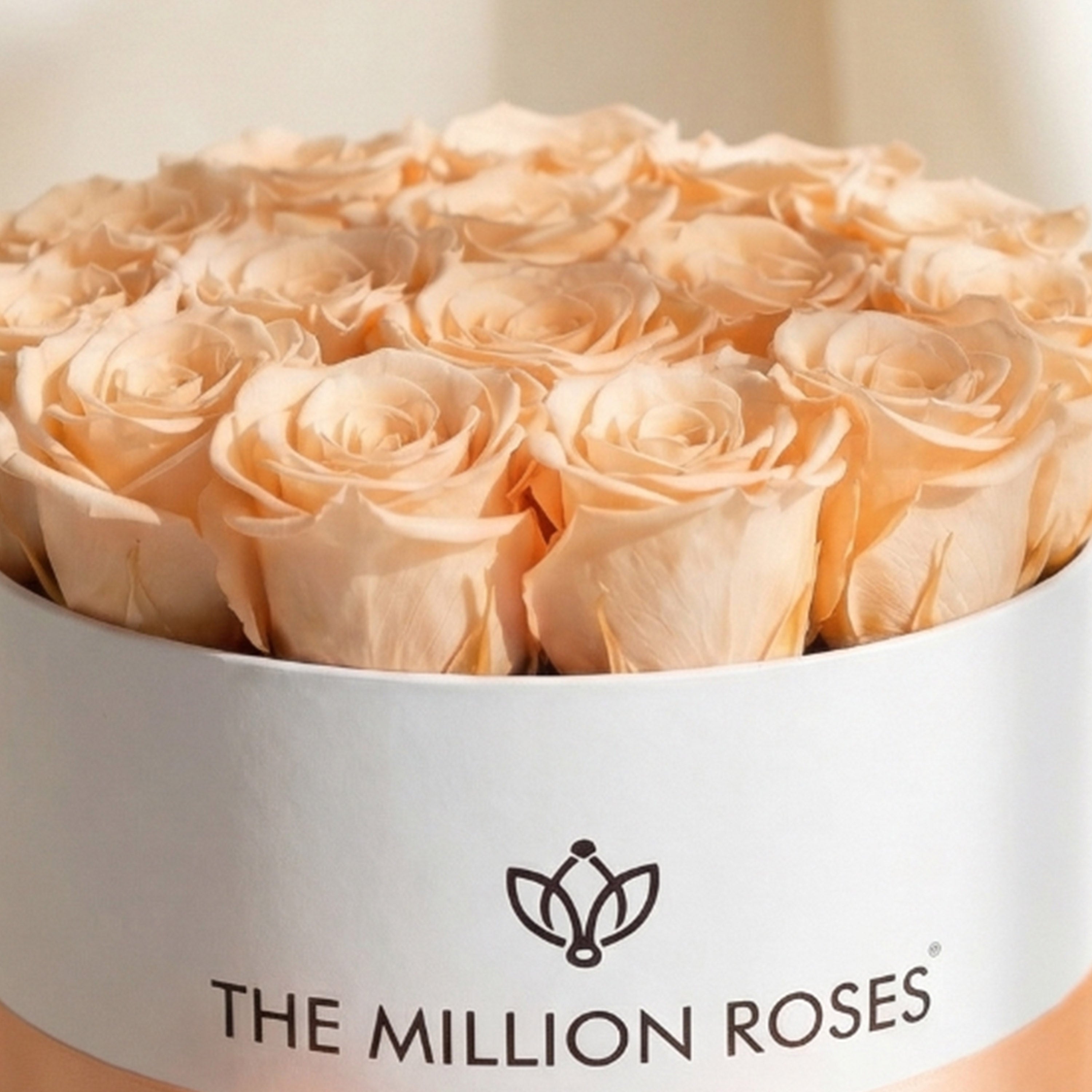 Classic White Box | Peach Roses