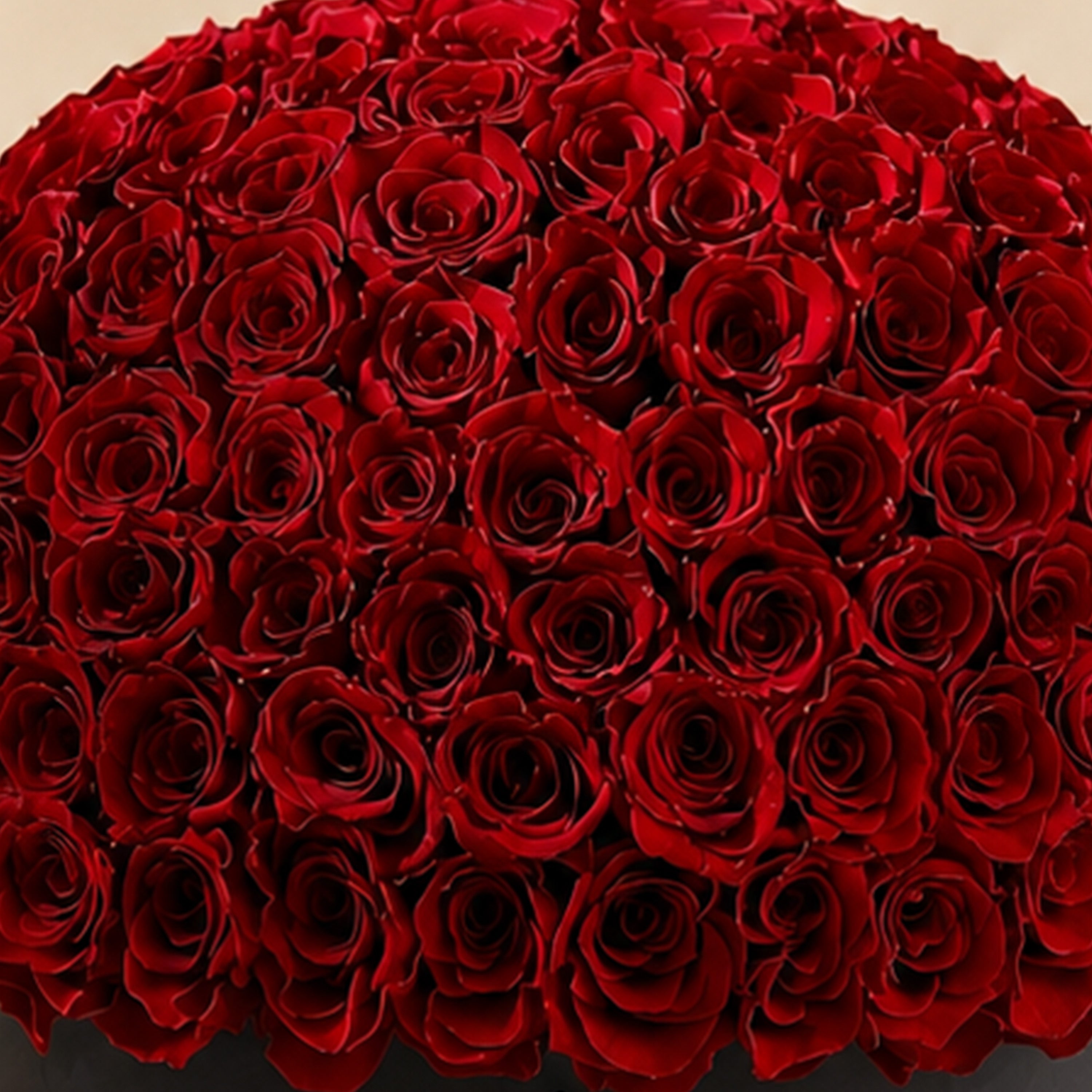 Deluxe Black Dome Box | Red Roses