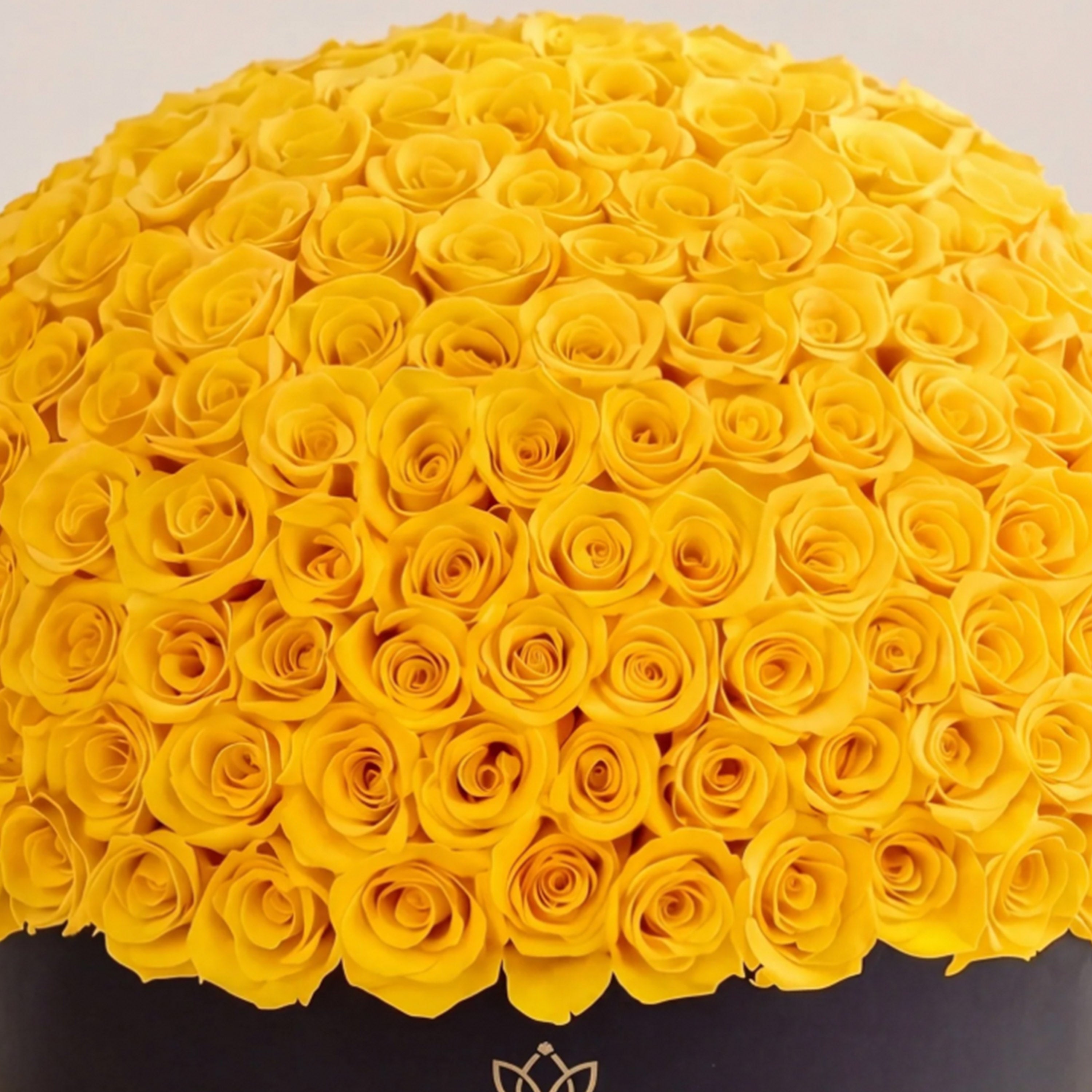 Deluxe Black Dome Box | Yellow Roses