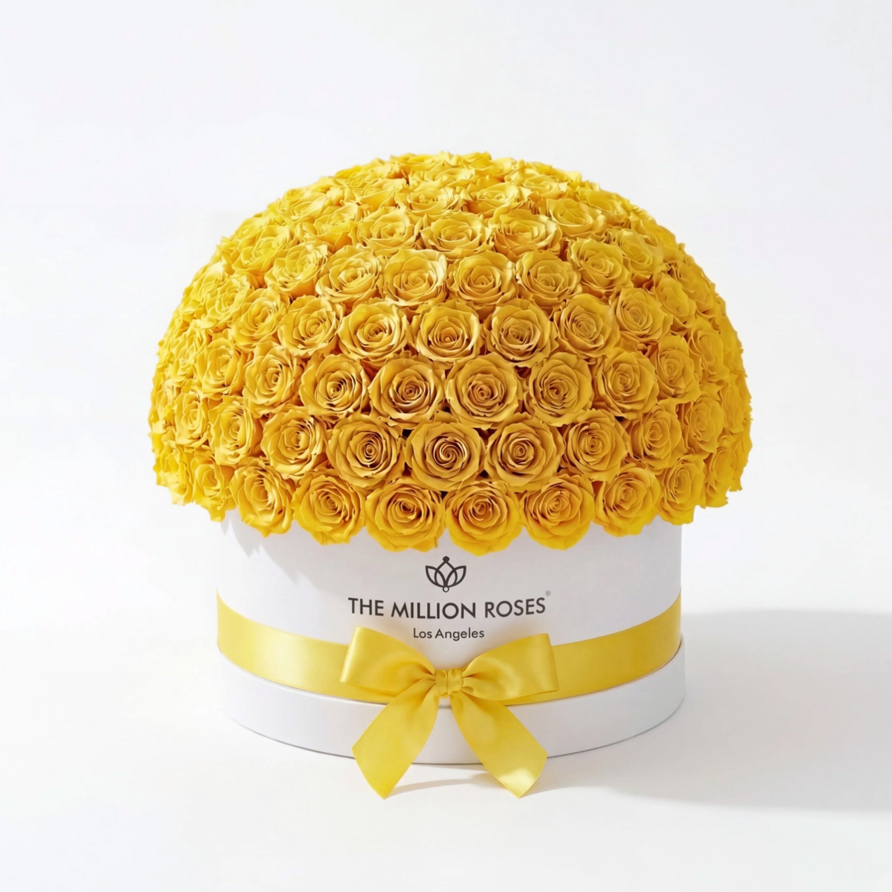 Deluxe White Dome Box | Yellow Roses