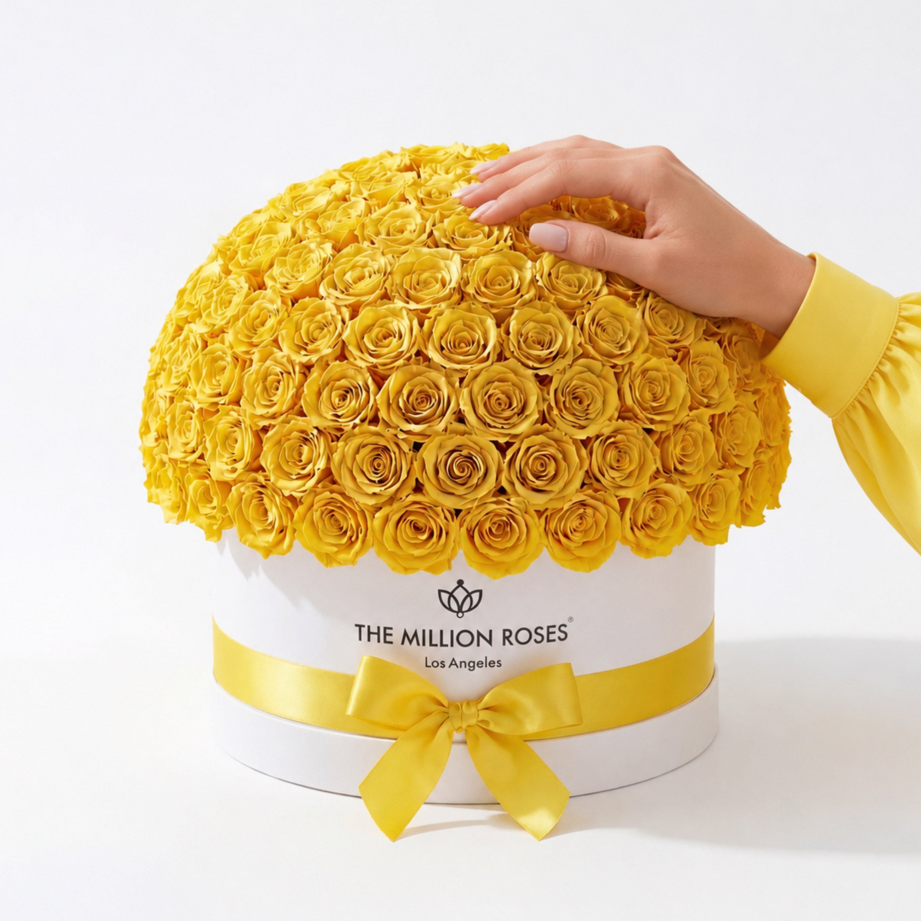 Deluxe White Dome Box | Yellow Roses