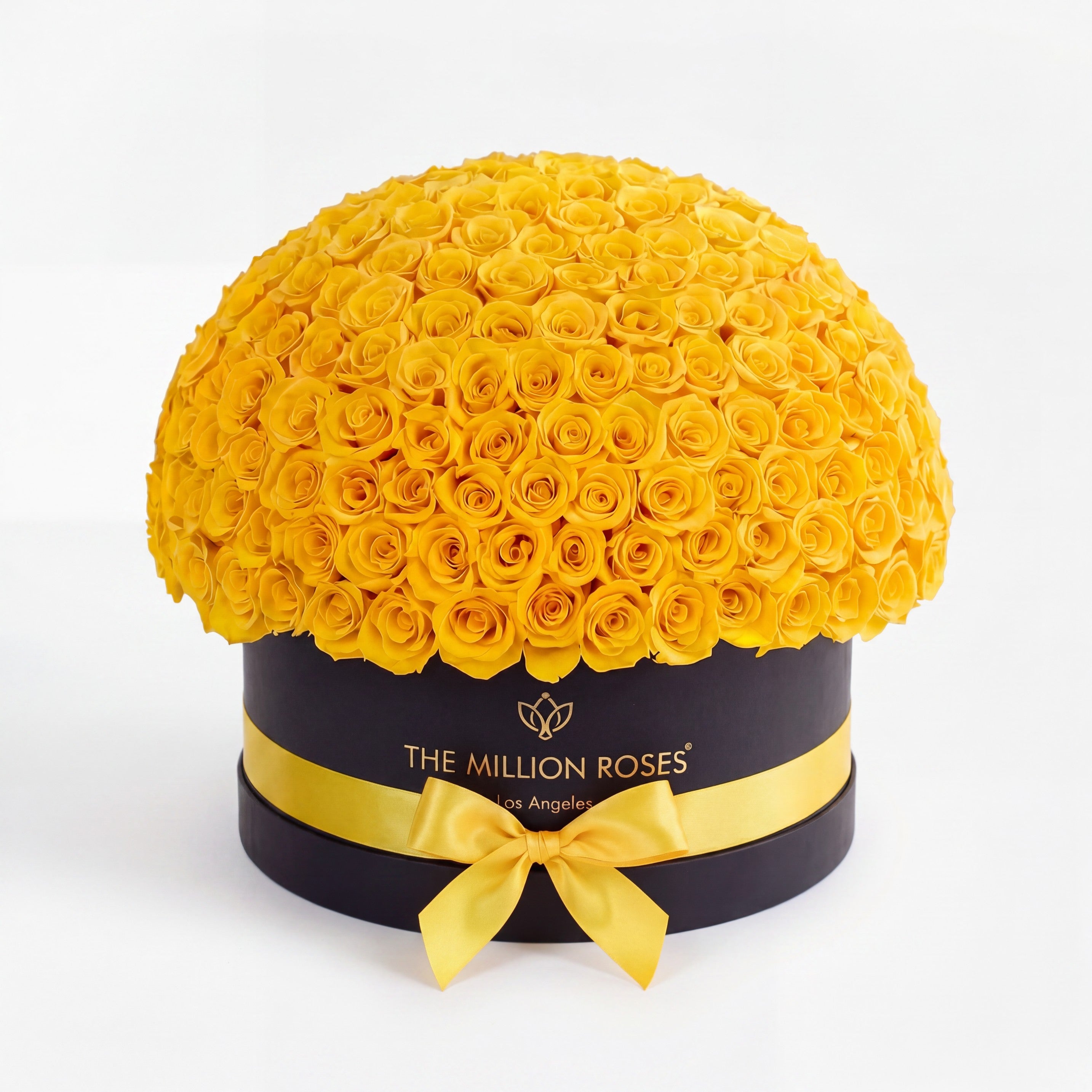 Deluxe Black Dome Box | Yellow Roses
