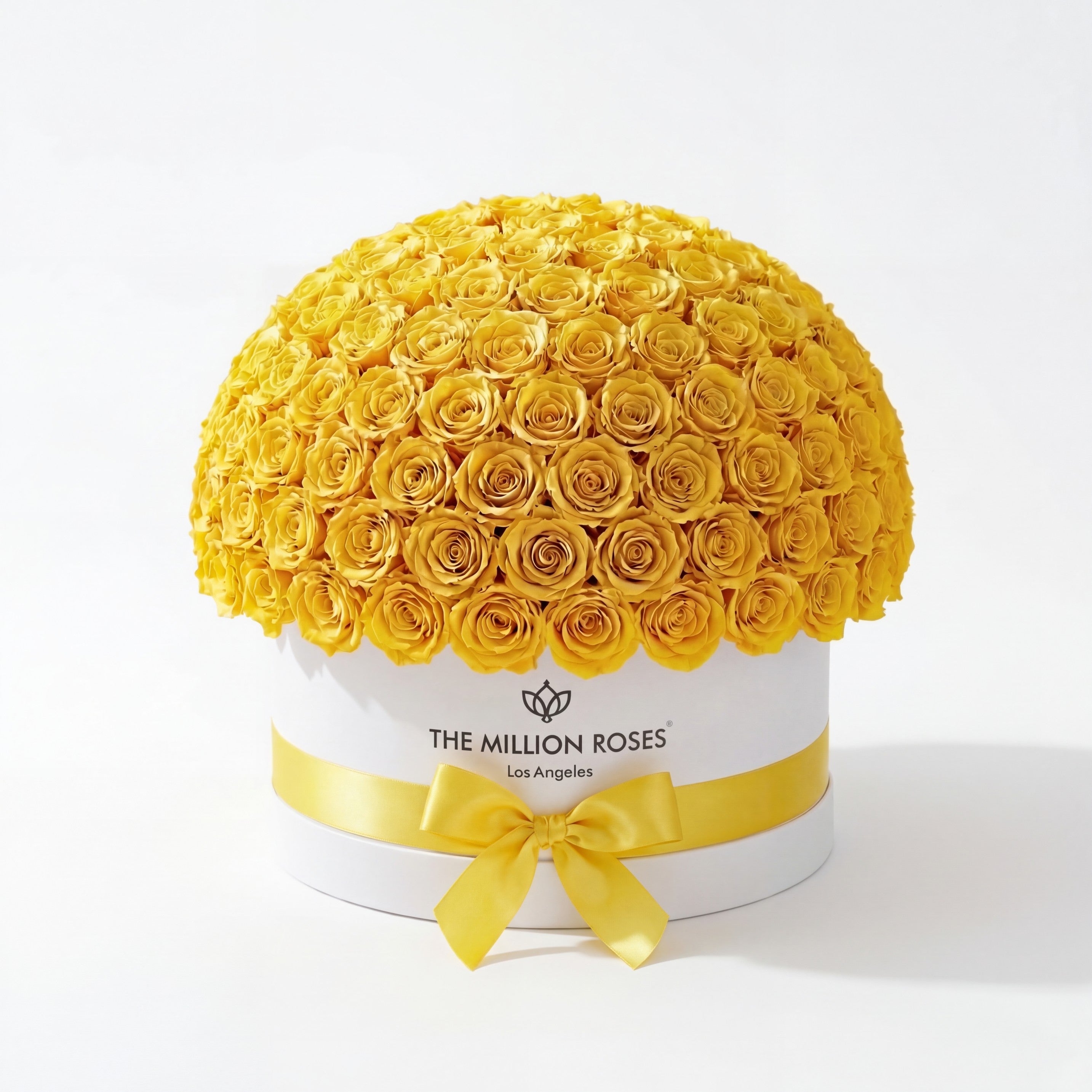 Deluxe White Dome Box | Yellow Roses
