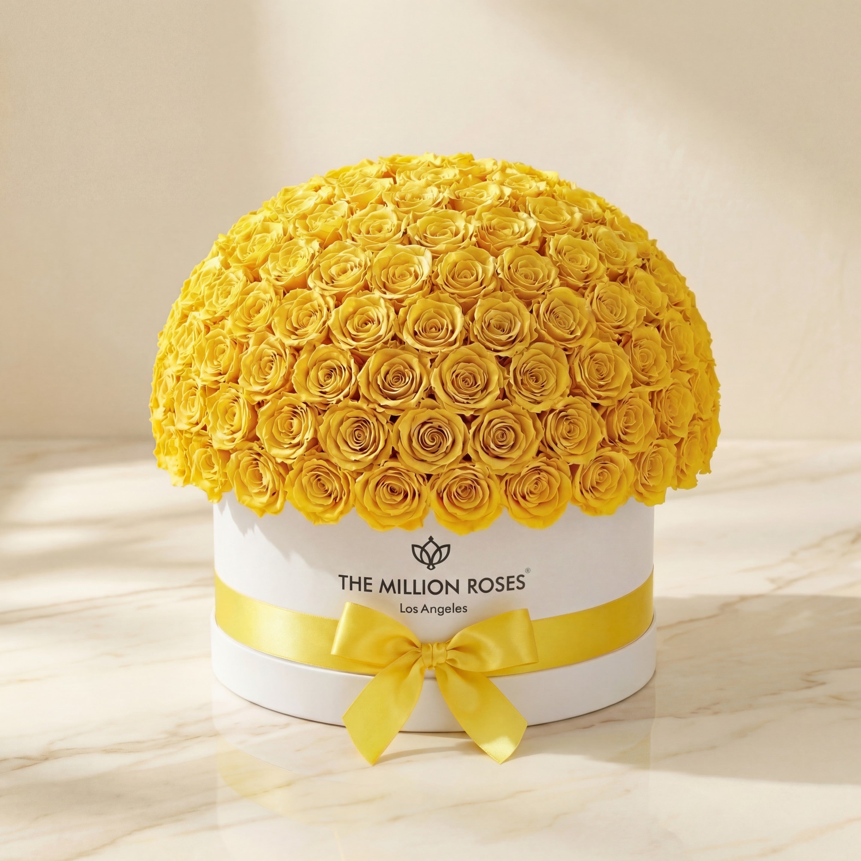 Deluxe White Dome Box | Yellow Roses