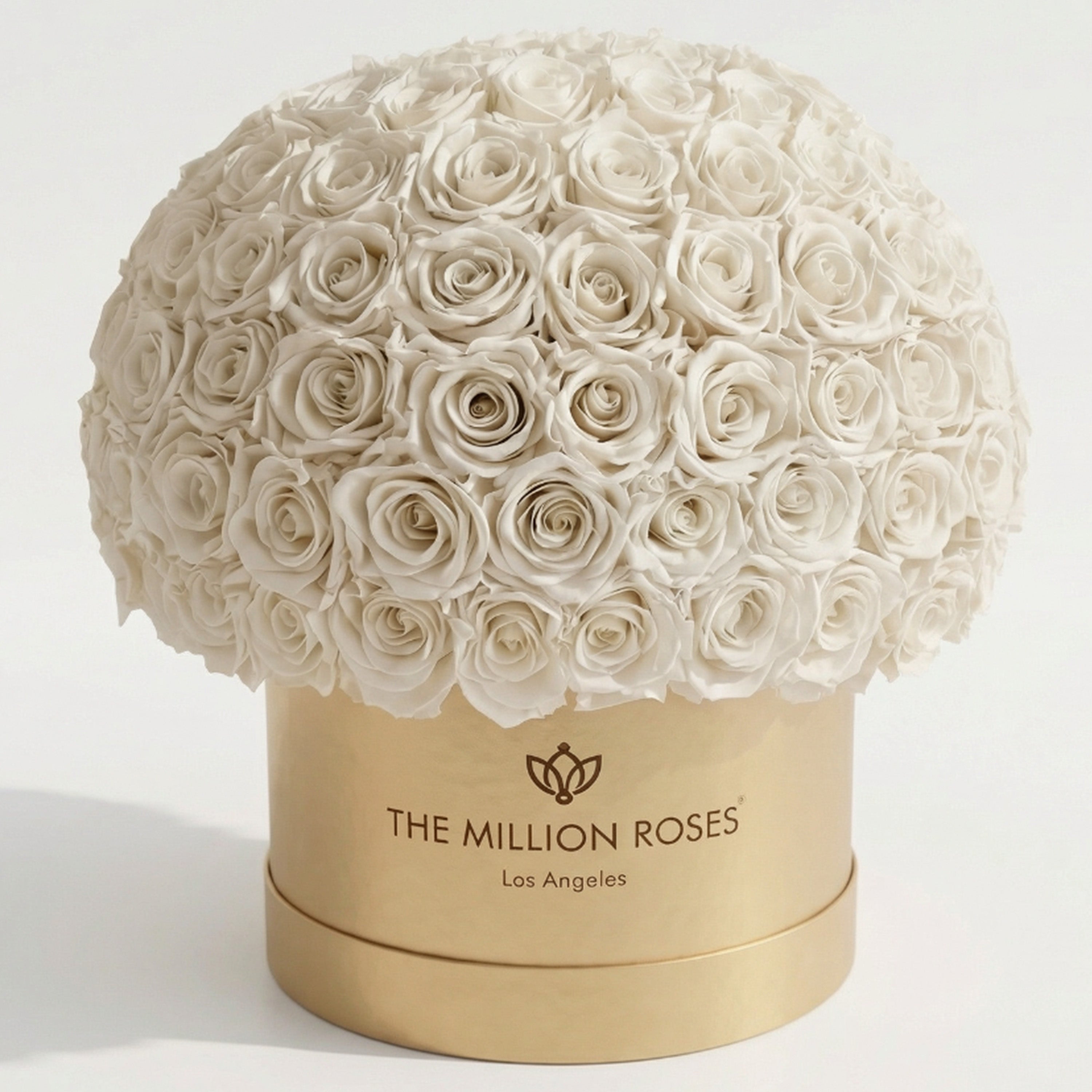 Supreme Gold Superdome Box | White Roses