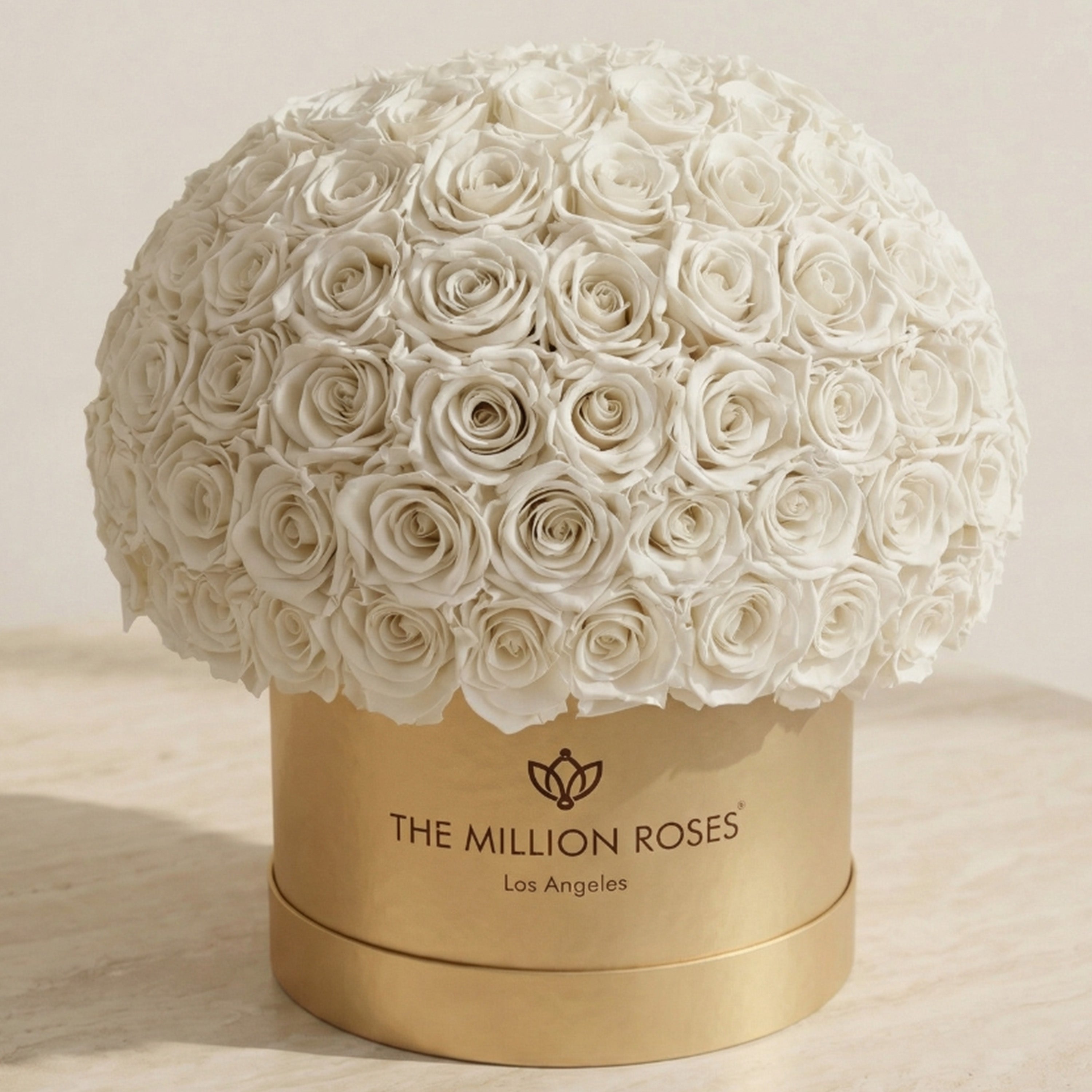 Supreme Gold Superdome Box | White Roses