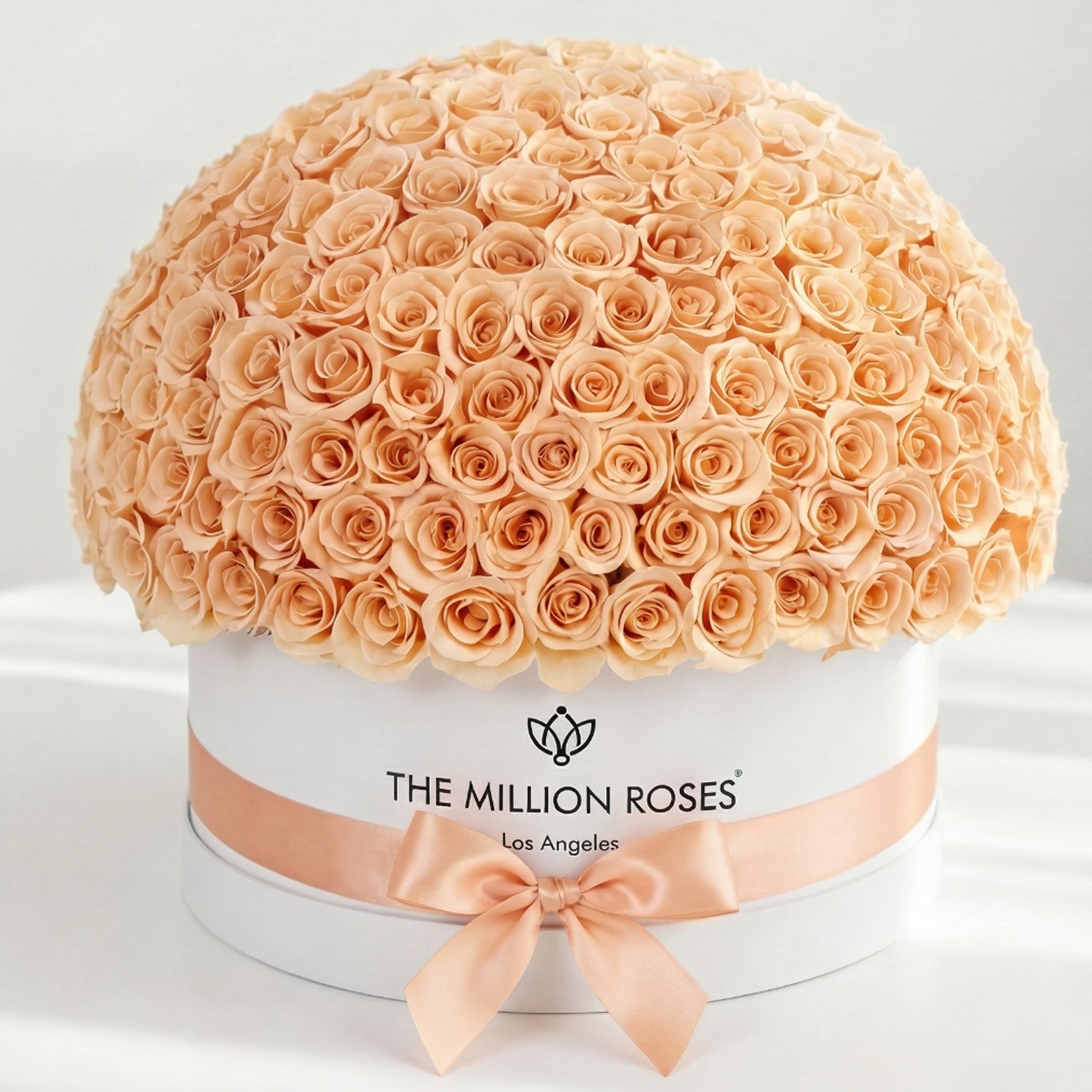 Deluxe White Dome Box | Peach Roses