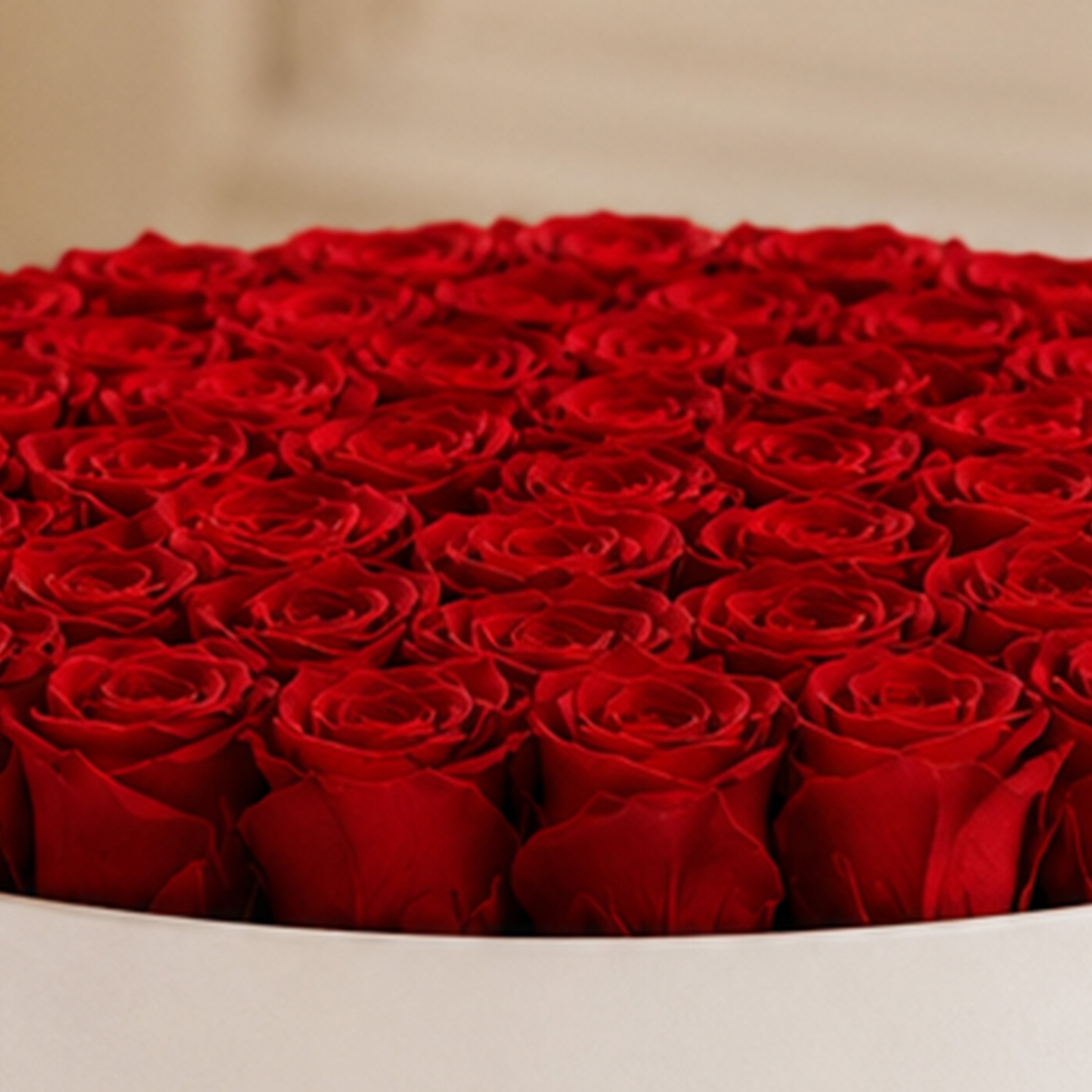 Deluxe White Box | Red Roses