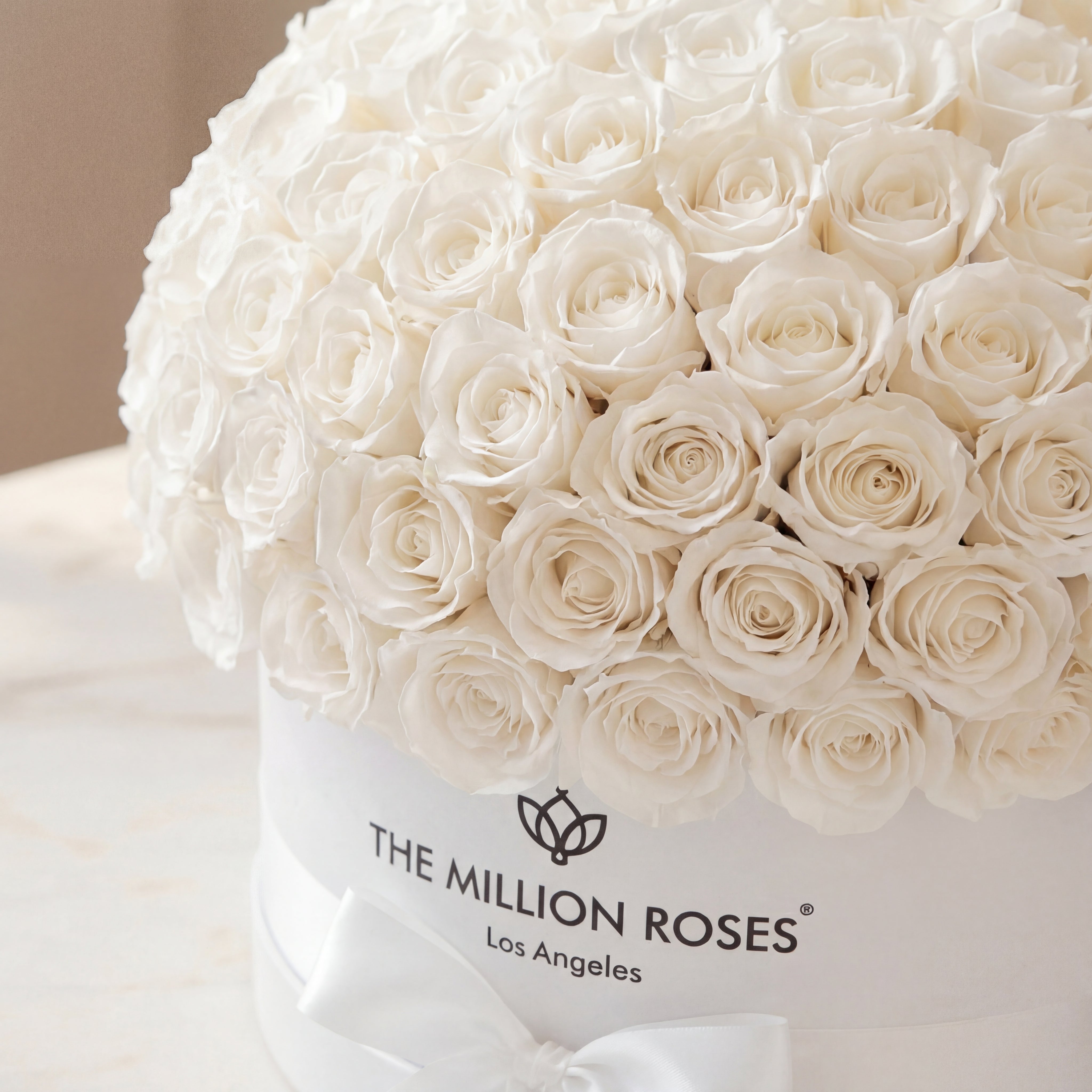 Deluxe White Dome Box | White Roses