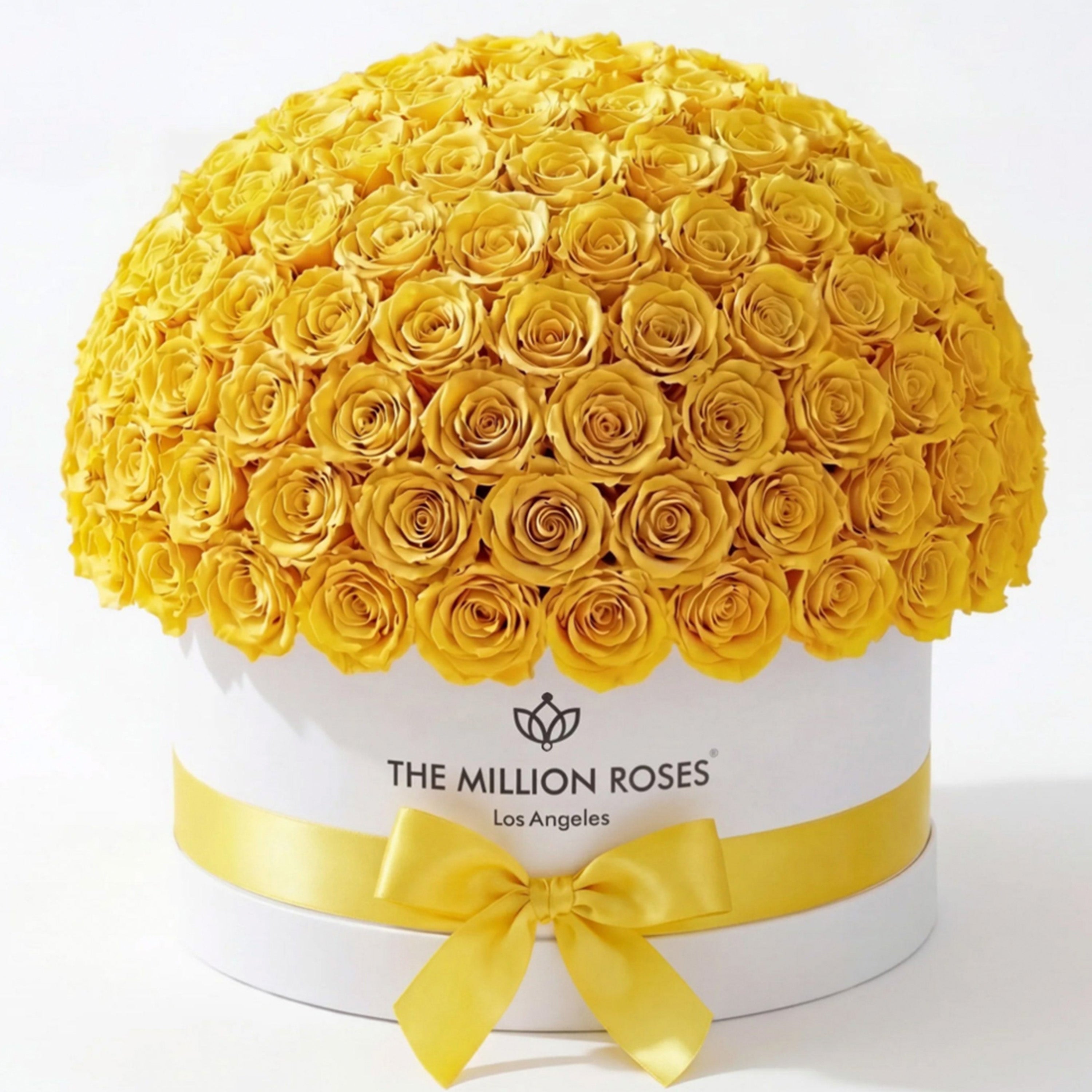 Deluxe White Dome Box | Yellow Roses