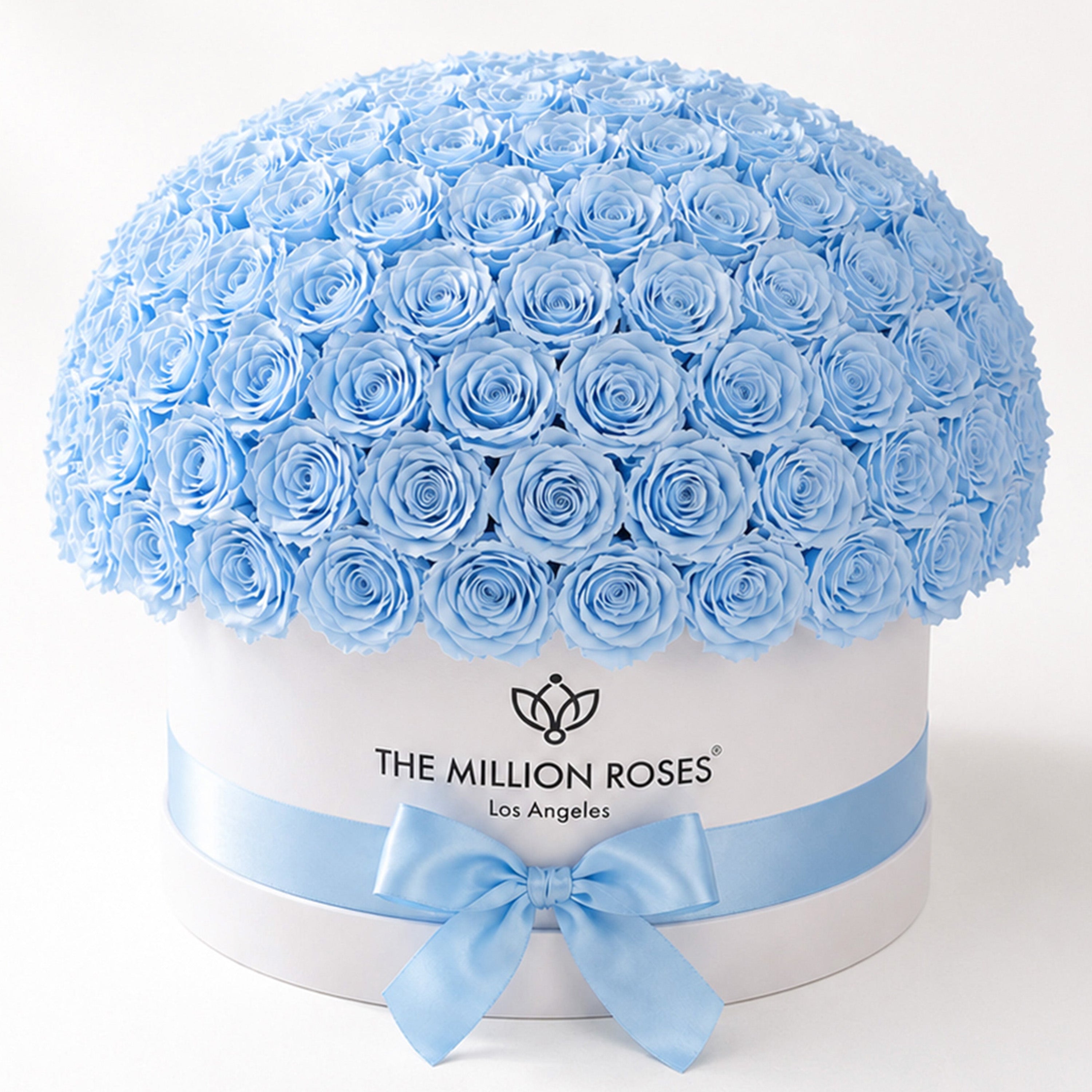Deluxe White Dome Box | Light Blue Roses