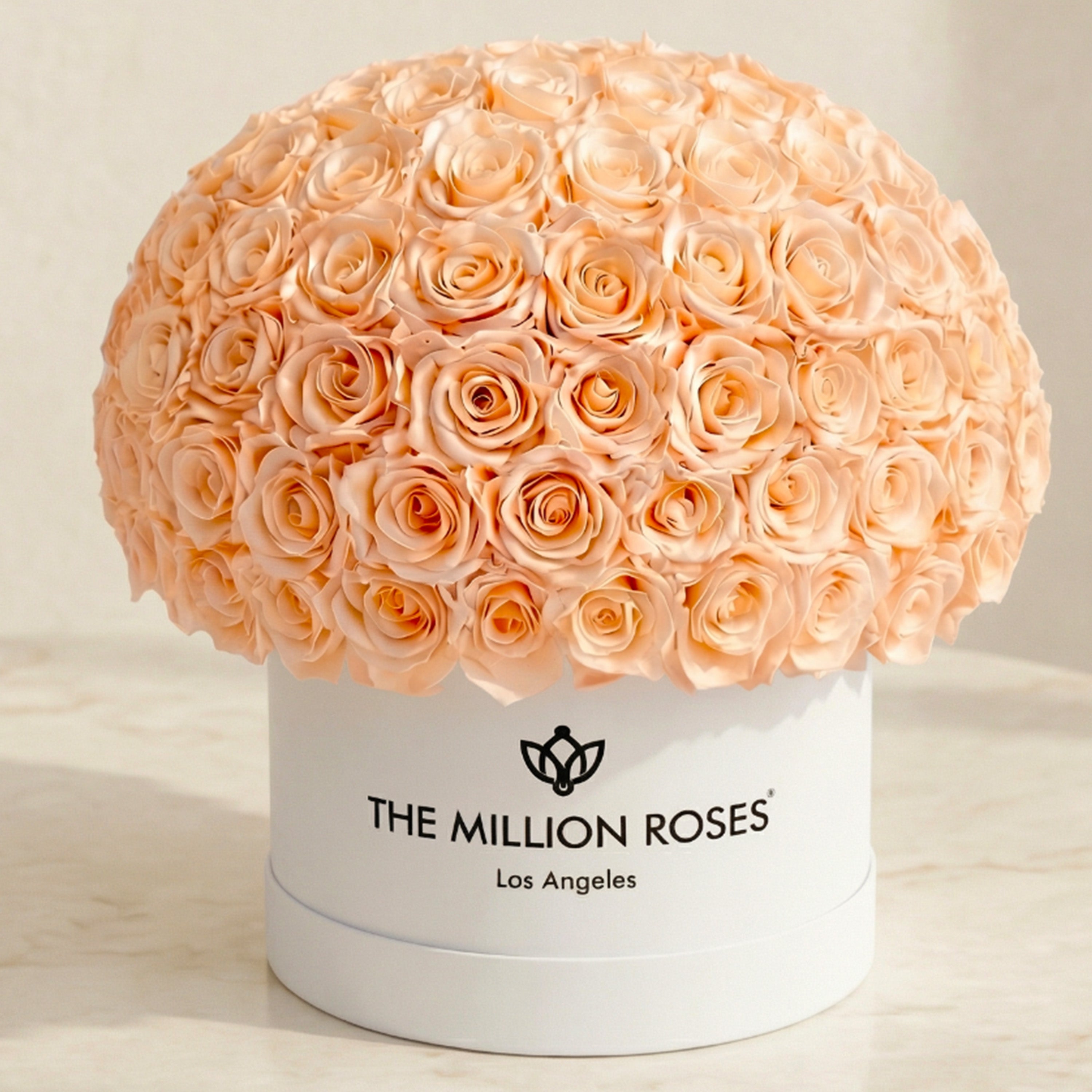 Supreme White Superdome Box | Peach Roses