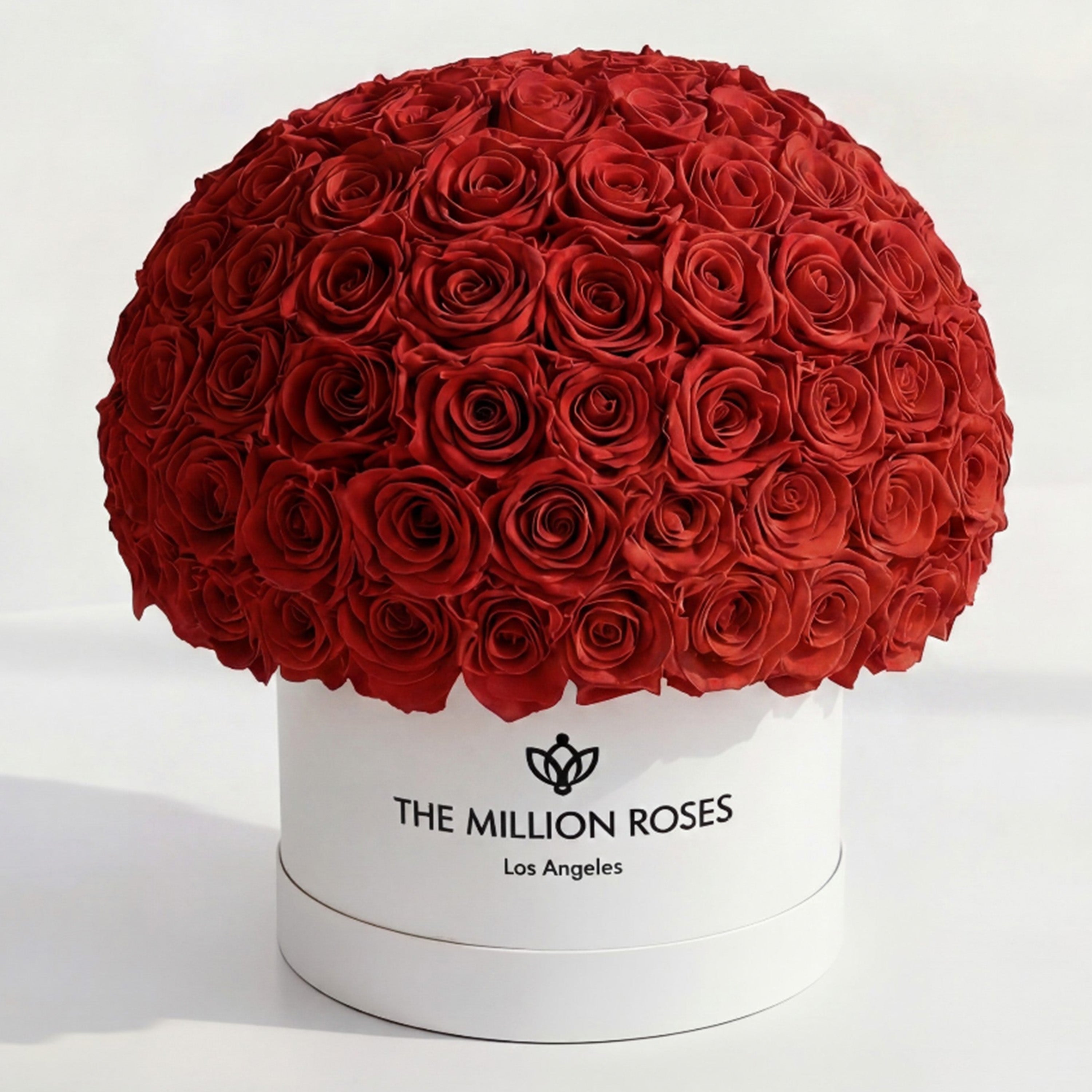 Supreme White Superdome Box | Red Roses