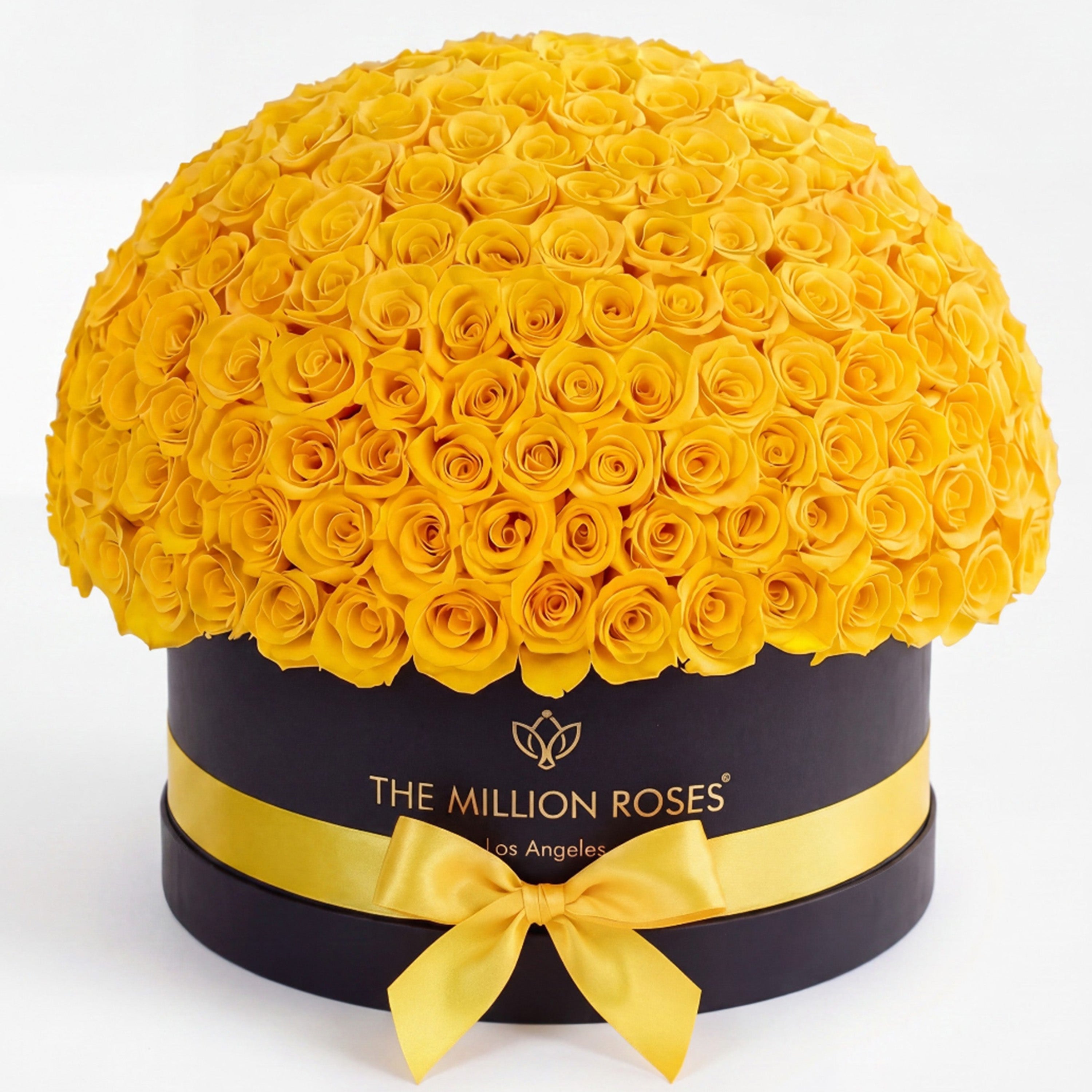 Deluxe Black Dome Box | Yellow Roses