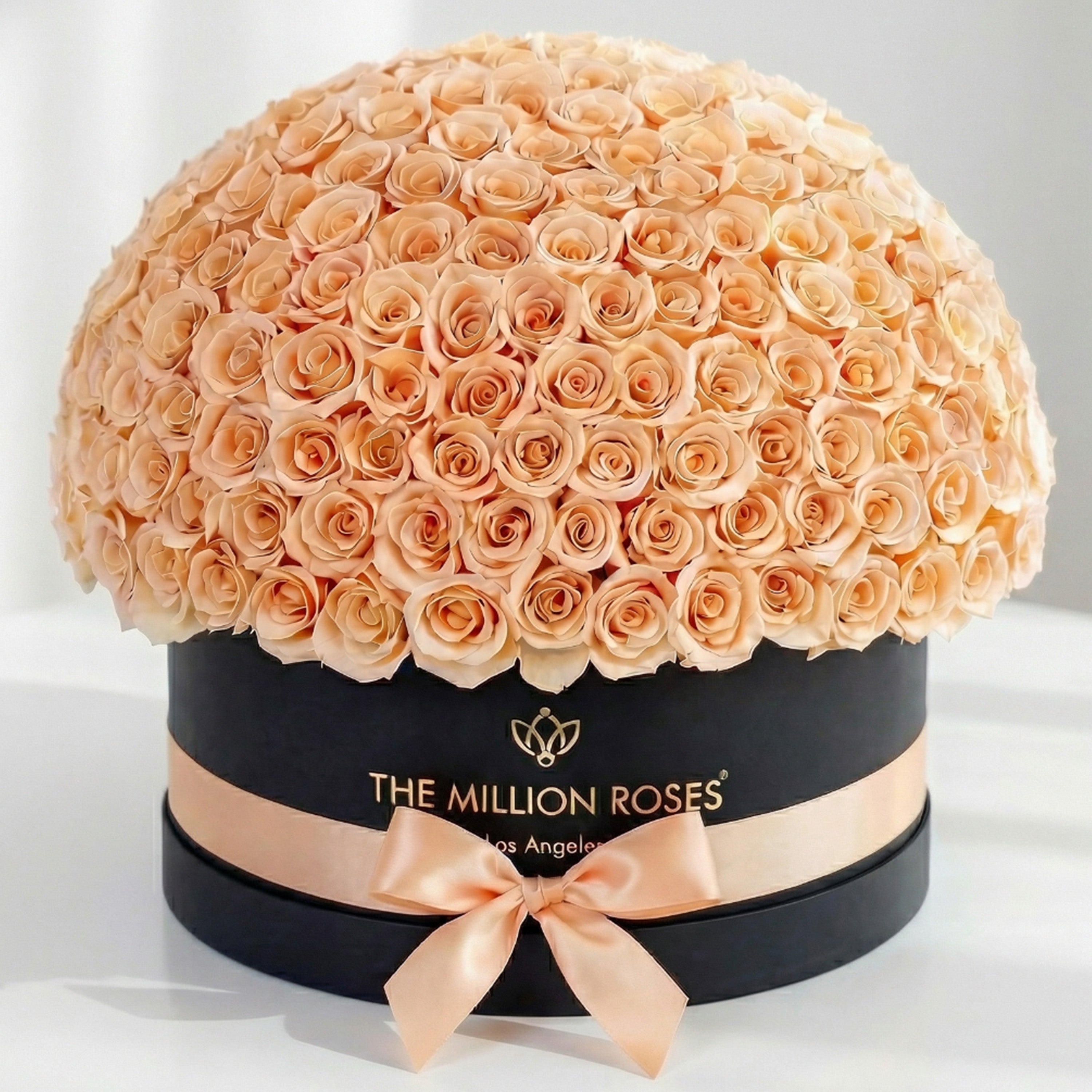 Deluxe Black Dome Box | Peach Roses
