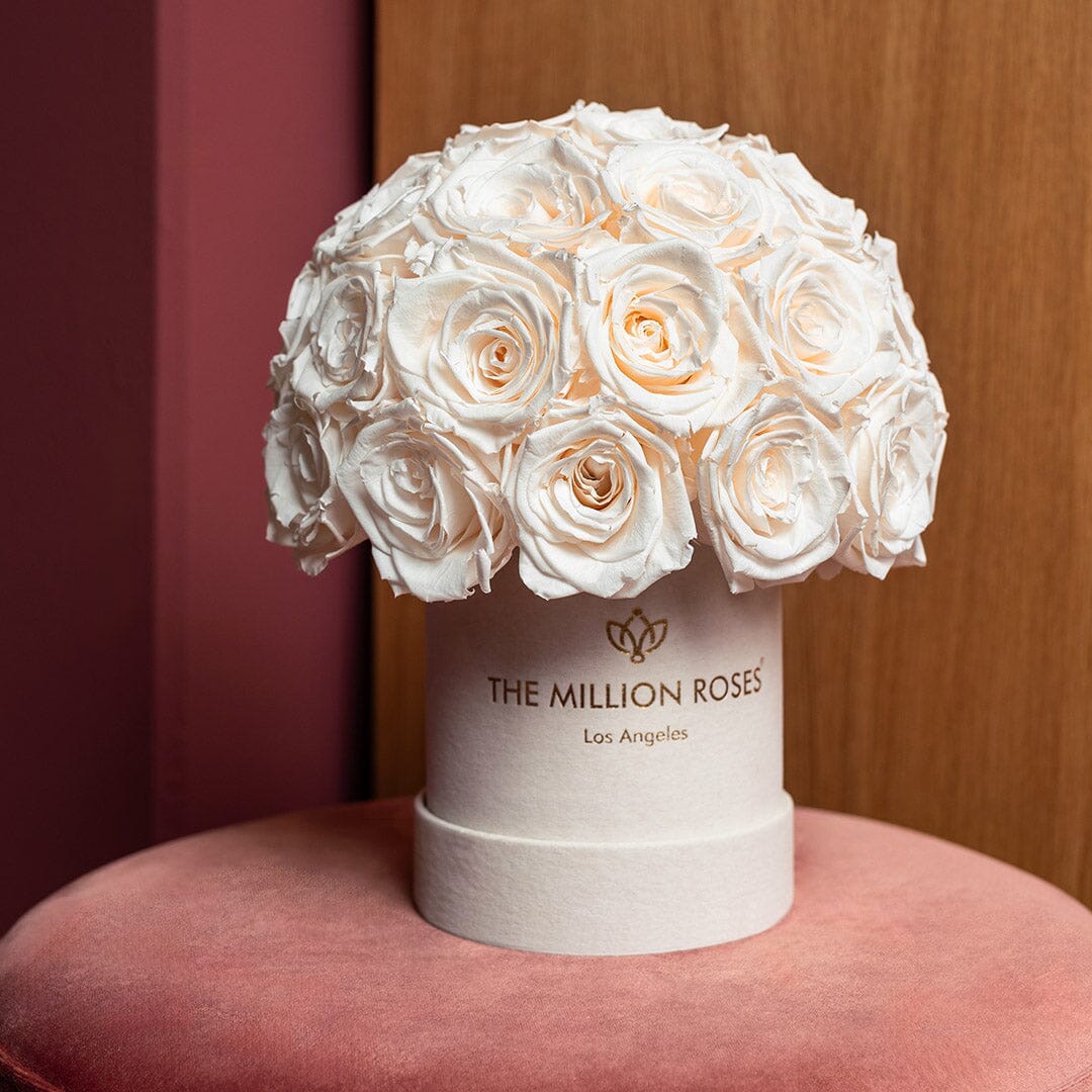 Boîte Superdome en daim beige basique | Roses blanches