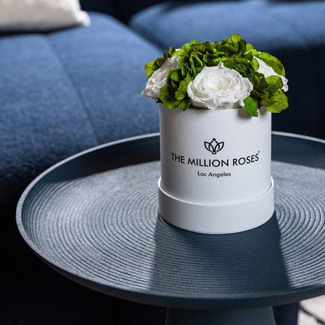 Boîte de jardin blanche de base | Roses blanches