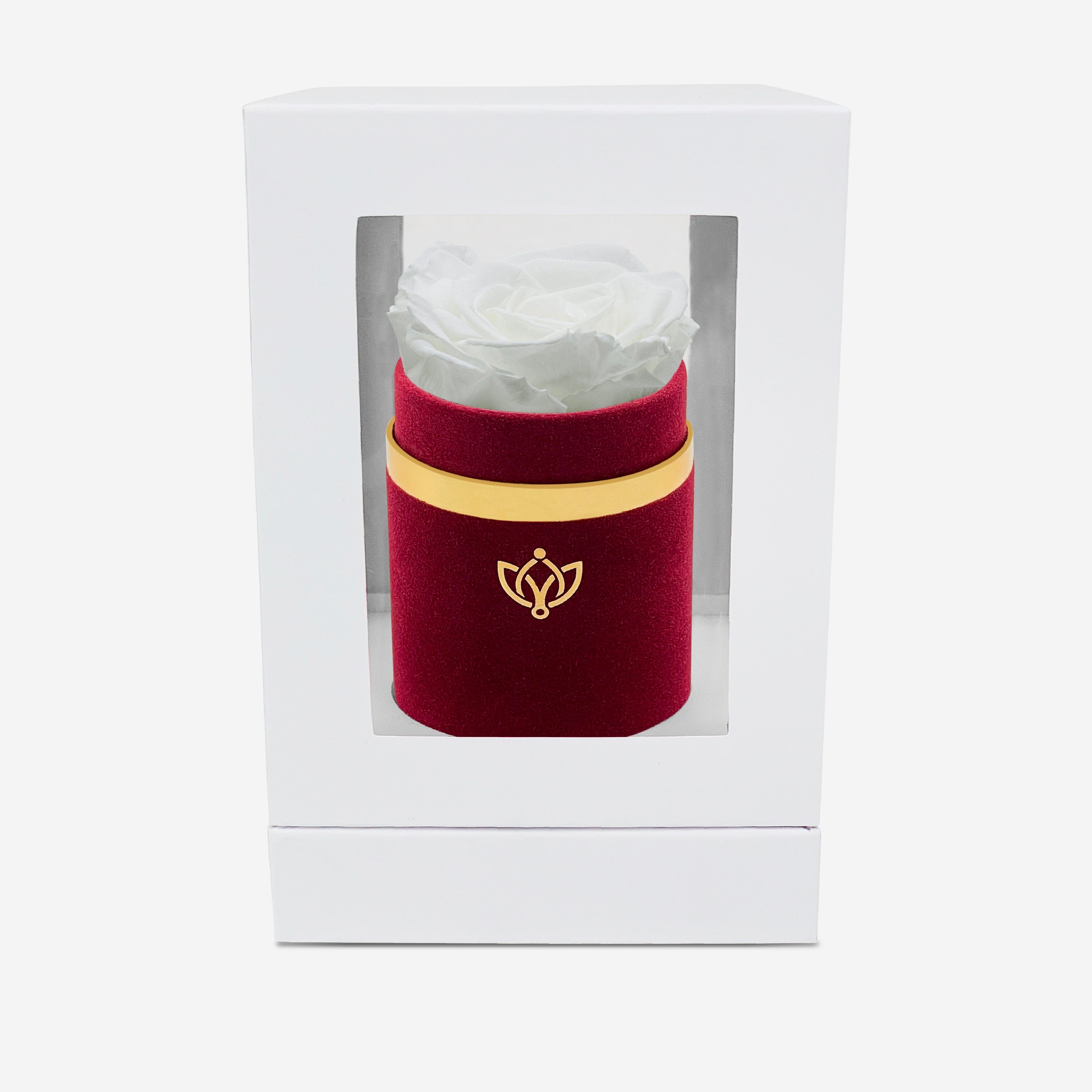 Single Bordeaux Suede Box | White Rose - The Million Roses