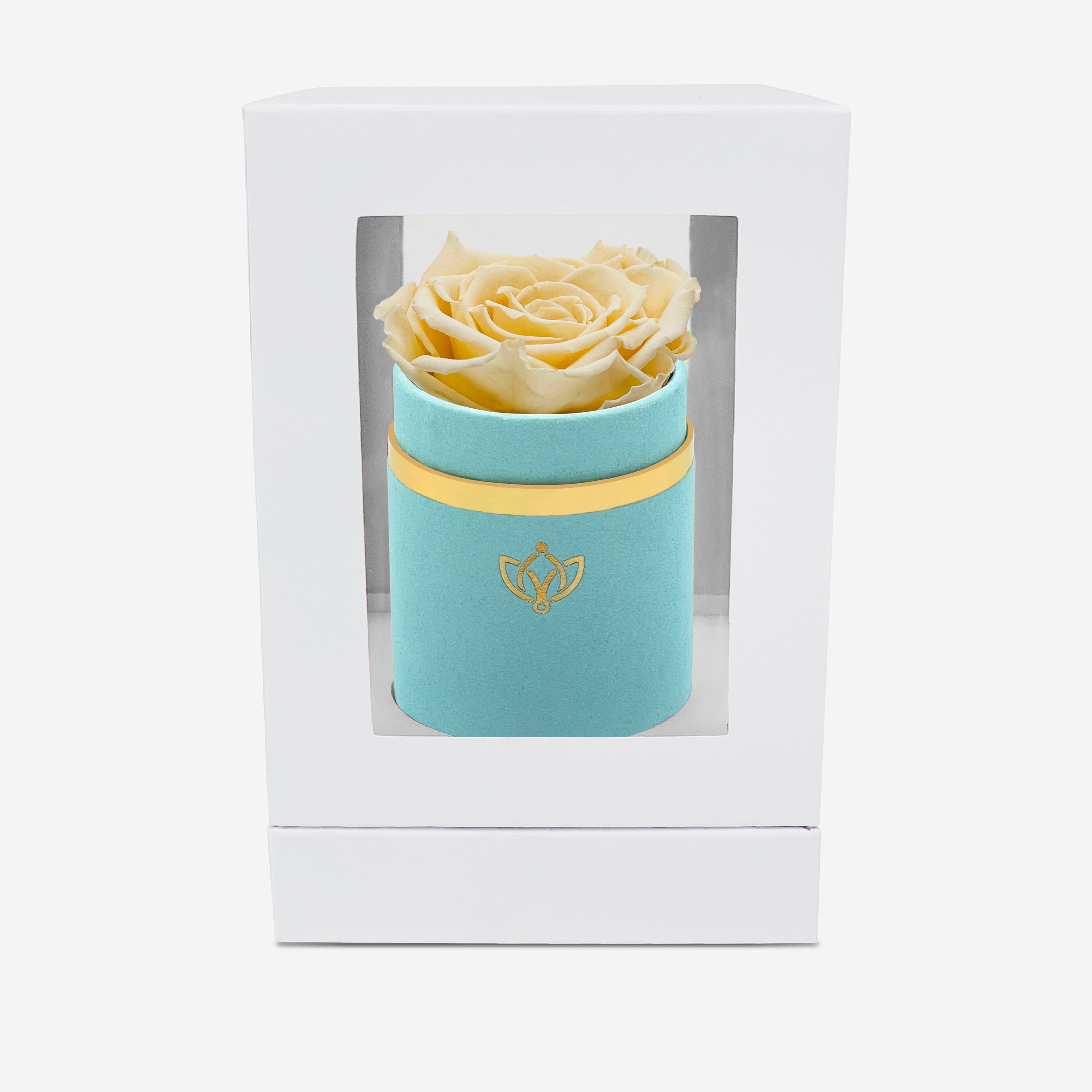 Single Mint Green Suede Box | Fawn Rose - The Million Roses