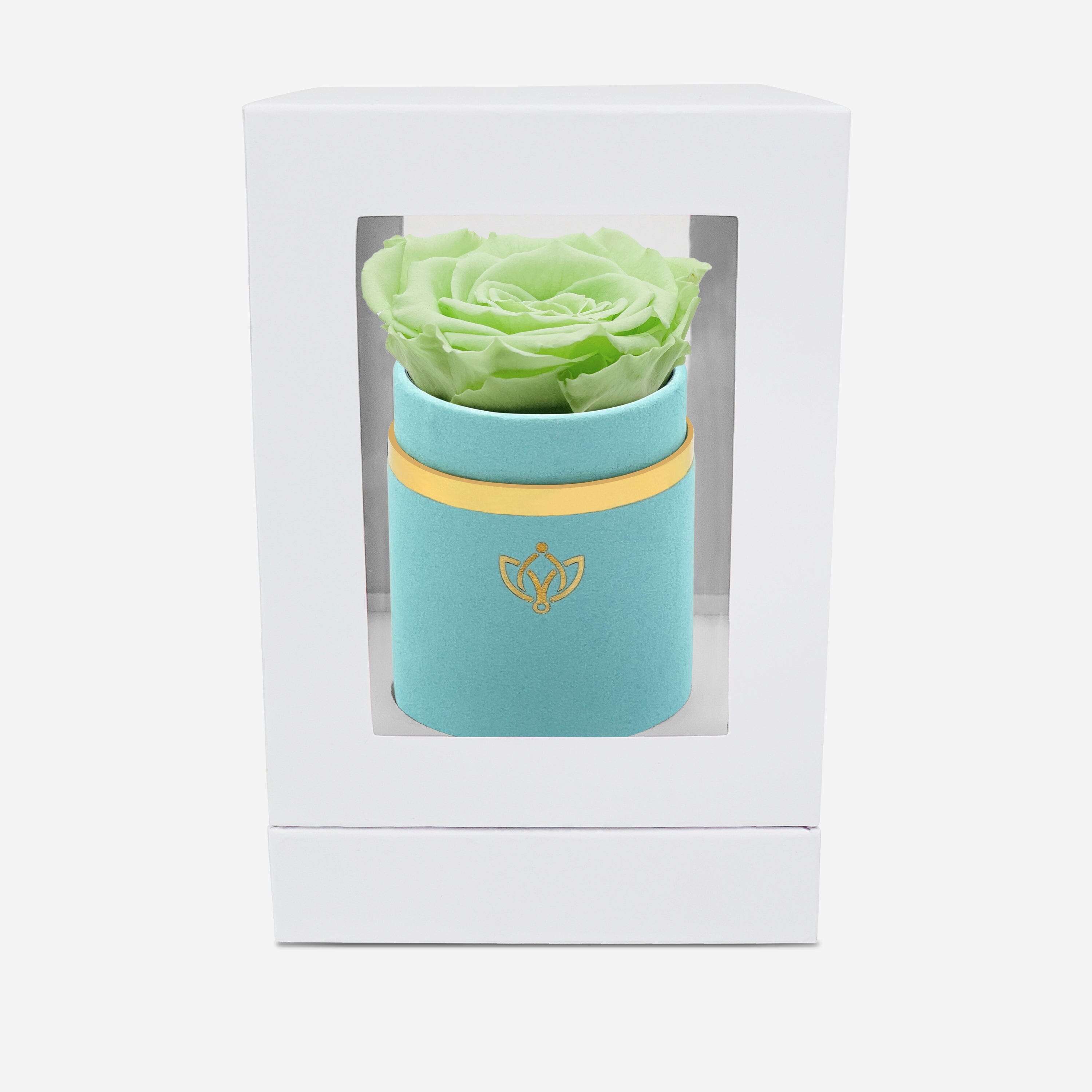 Single Mint Green Suede Box | Mint Green Rose - The Million Roses