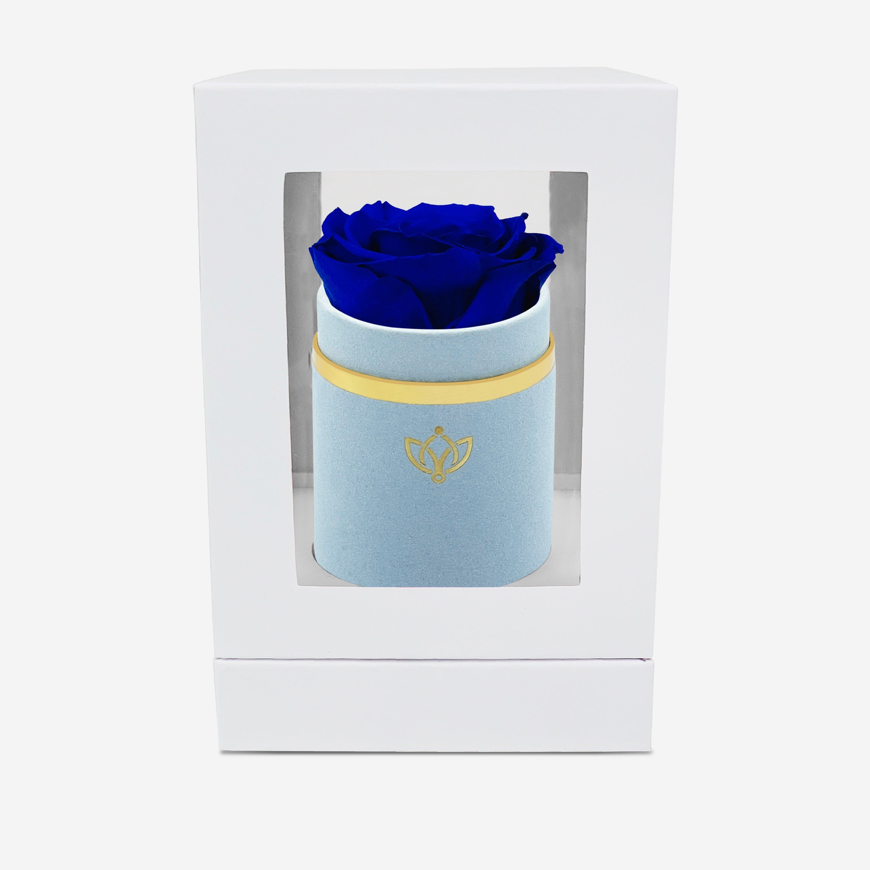 Single Light Blue Suede Box | Royal Blue Rose - The Million Roses