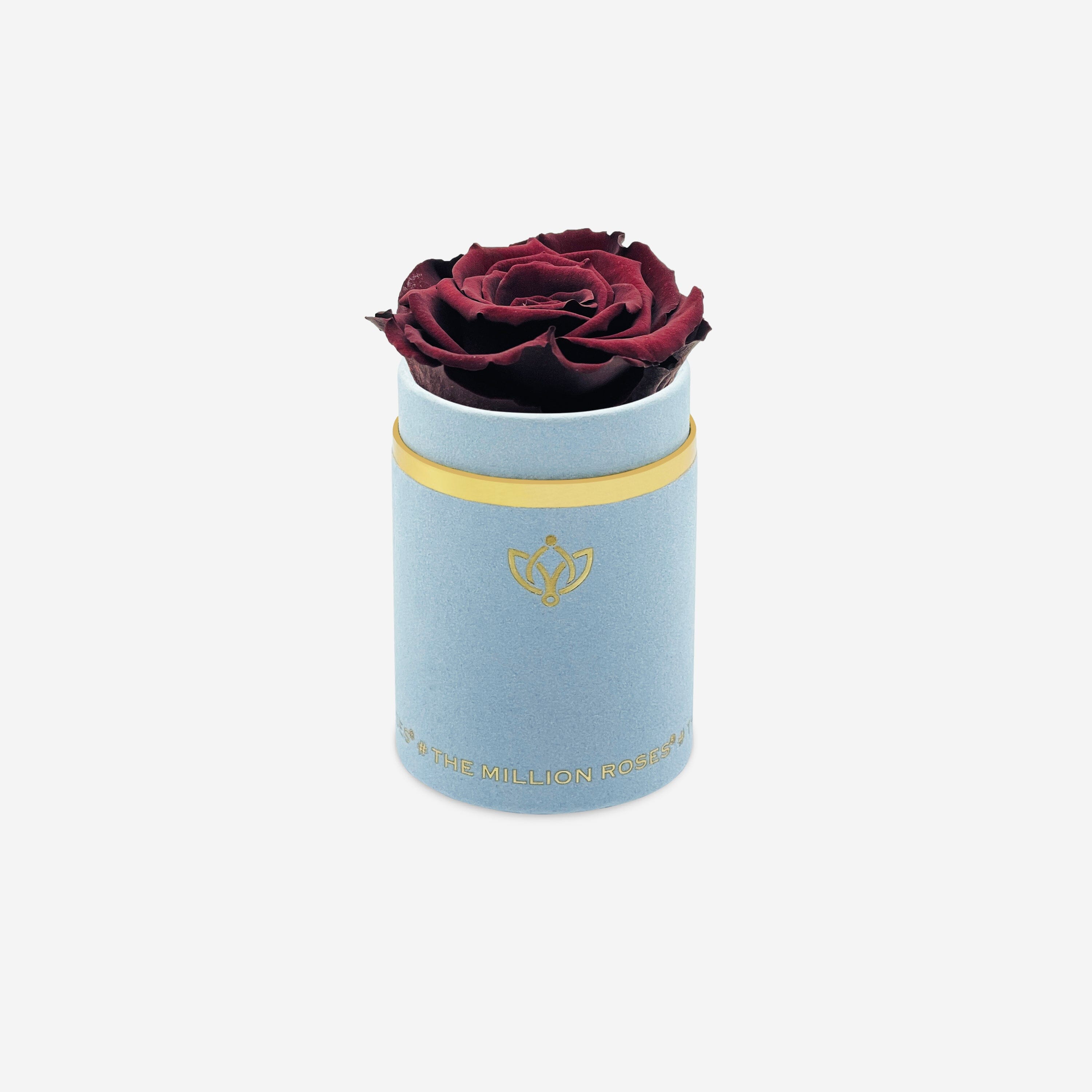 Single Light Blue Suede Box | Mahogany Rose - The Million Roses