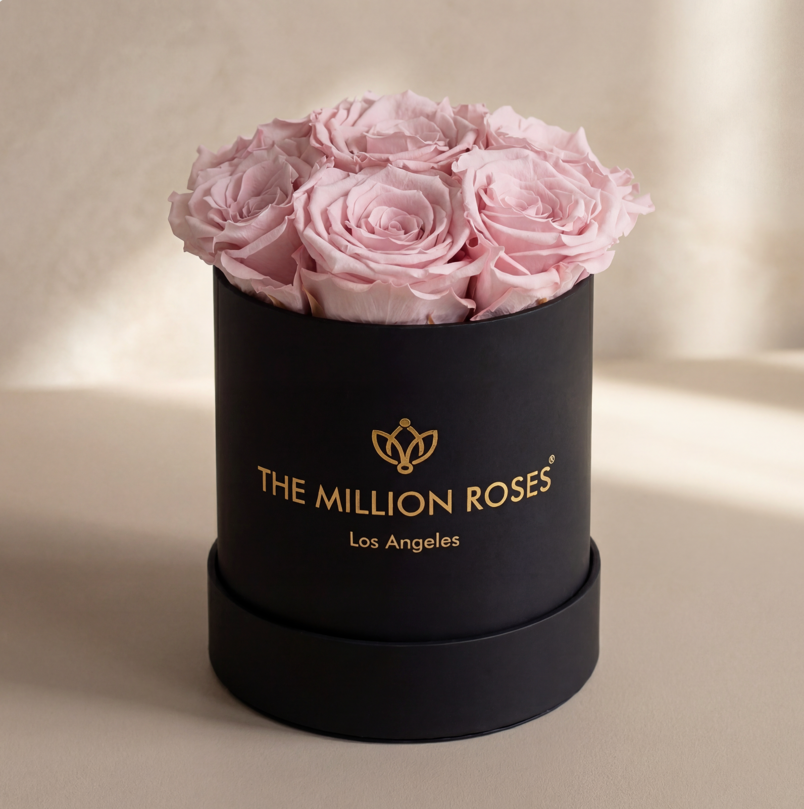 Basic Black Box | Light Pink Roses