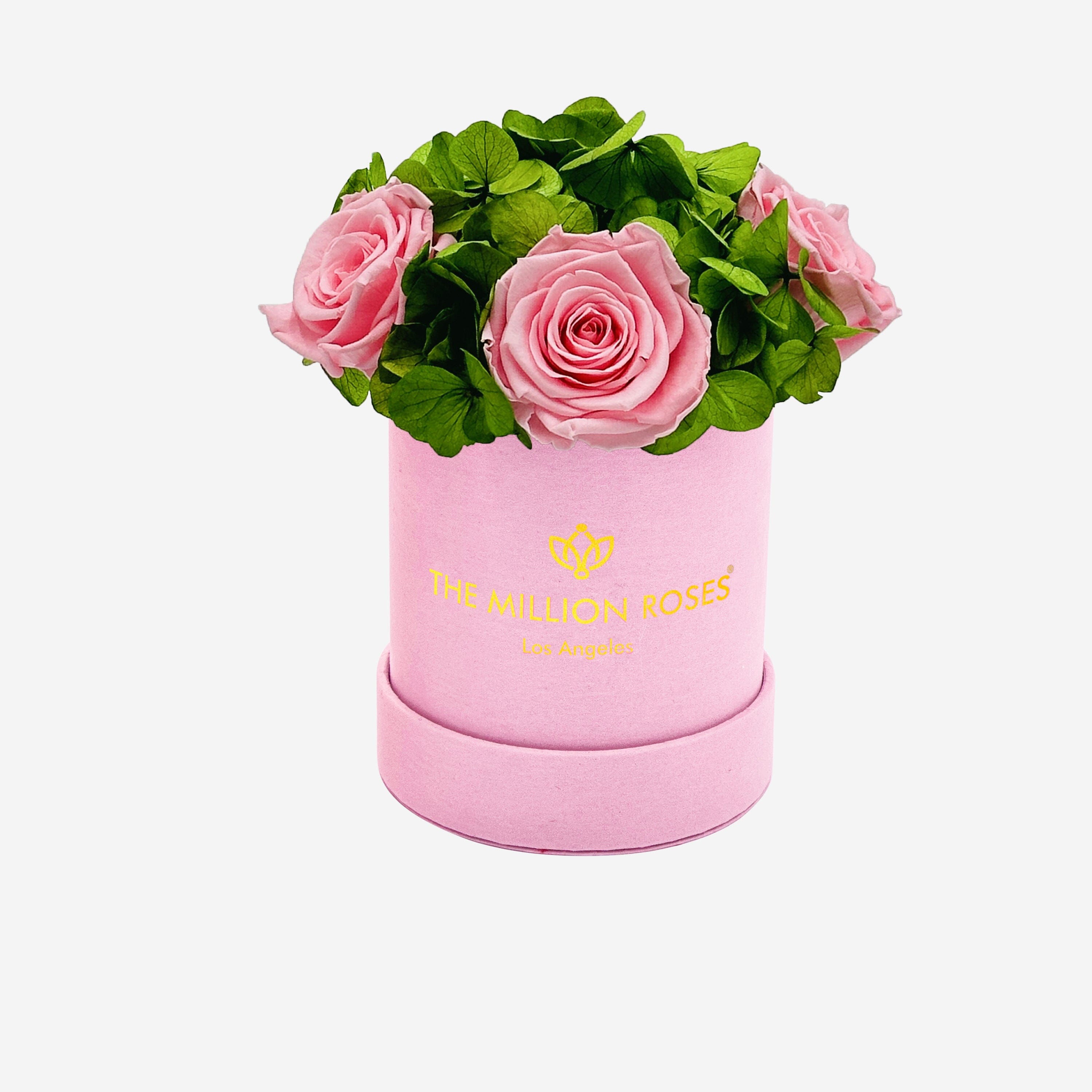 Caja de jardín básica de ante rosa claro | Rosas Rosa Claro