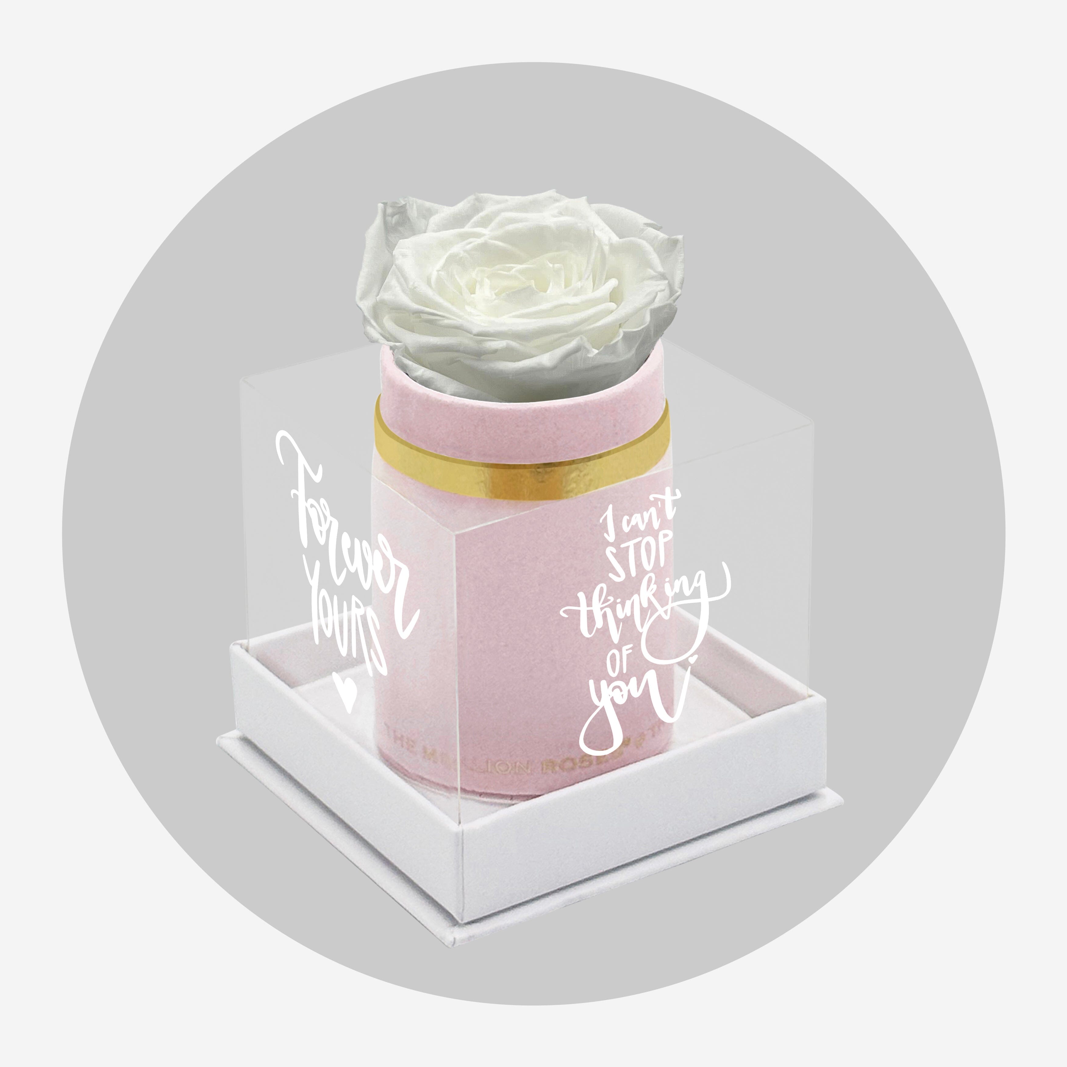 Scatola singola in camoscio rosa chiaro | Edizione limitata Love Note | Rosa Bianca