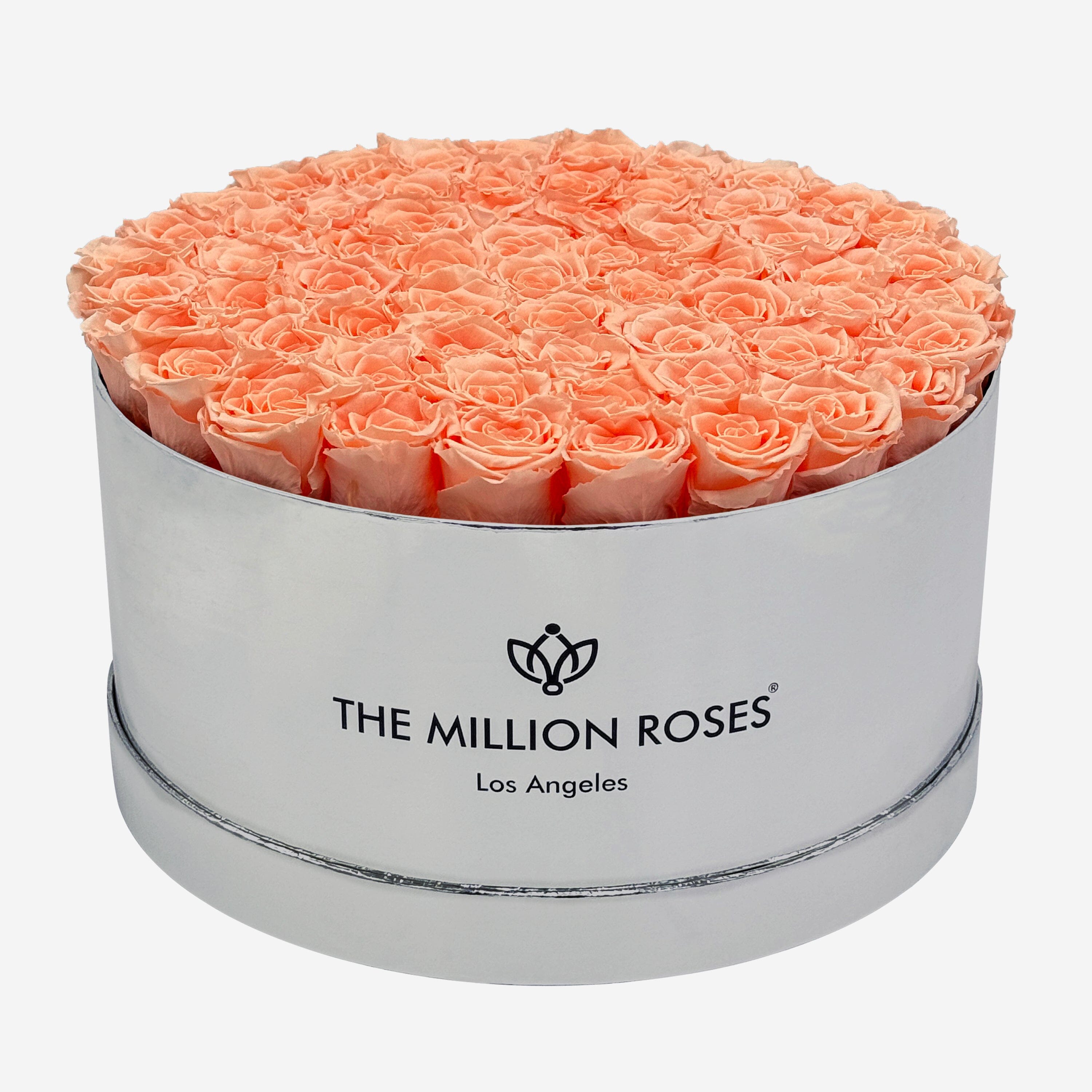 Deluxe Mirror Silver Box | Peach Roses