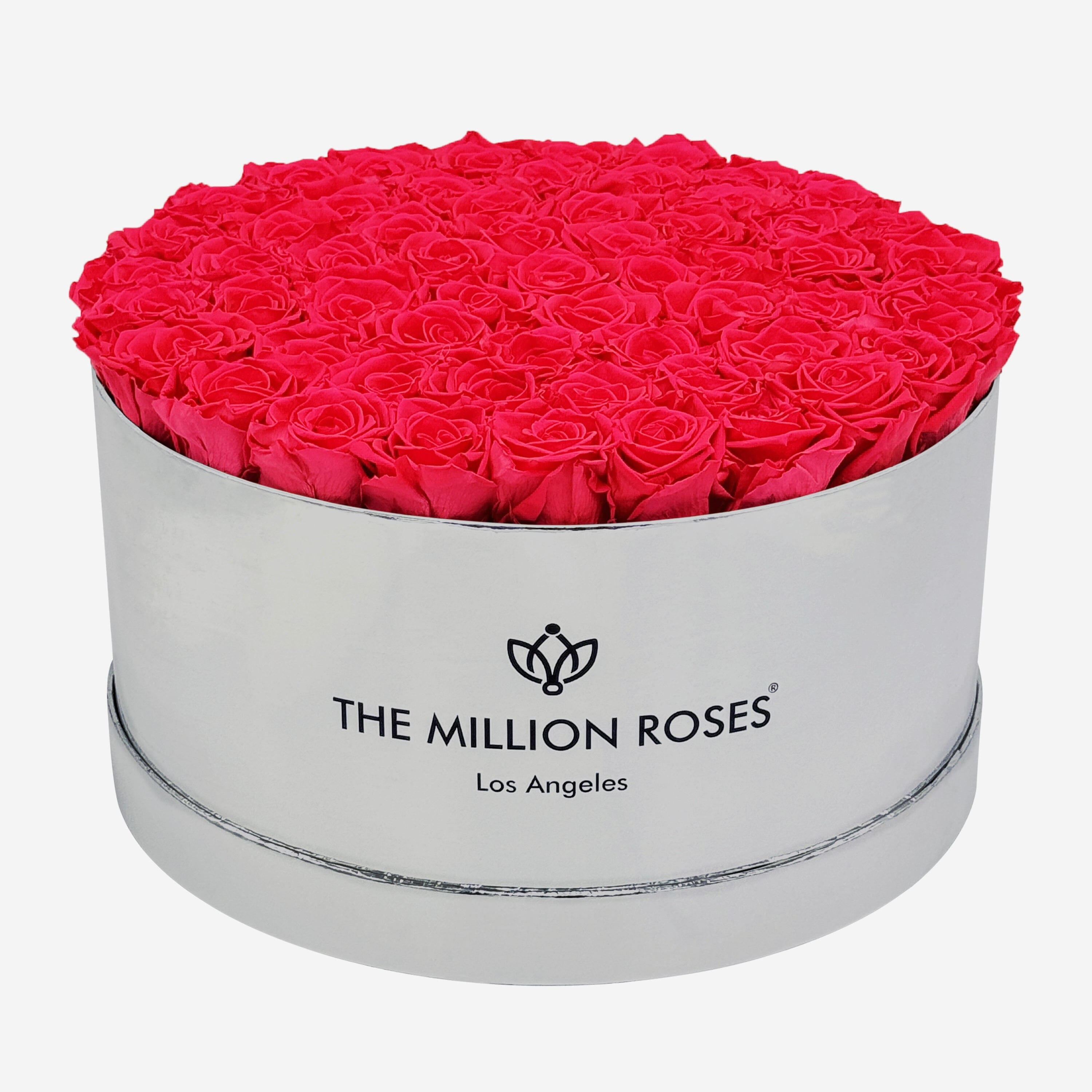 Espejo Deluxe Caja Plateada | Rosas rosadas fuertes