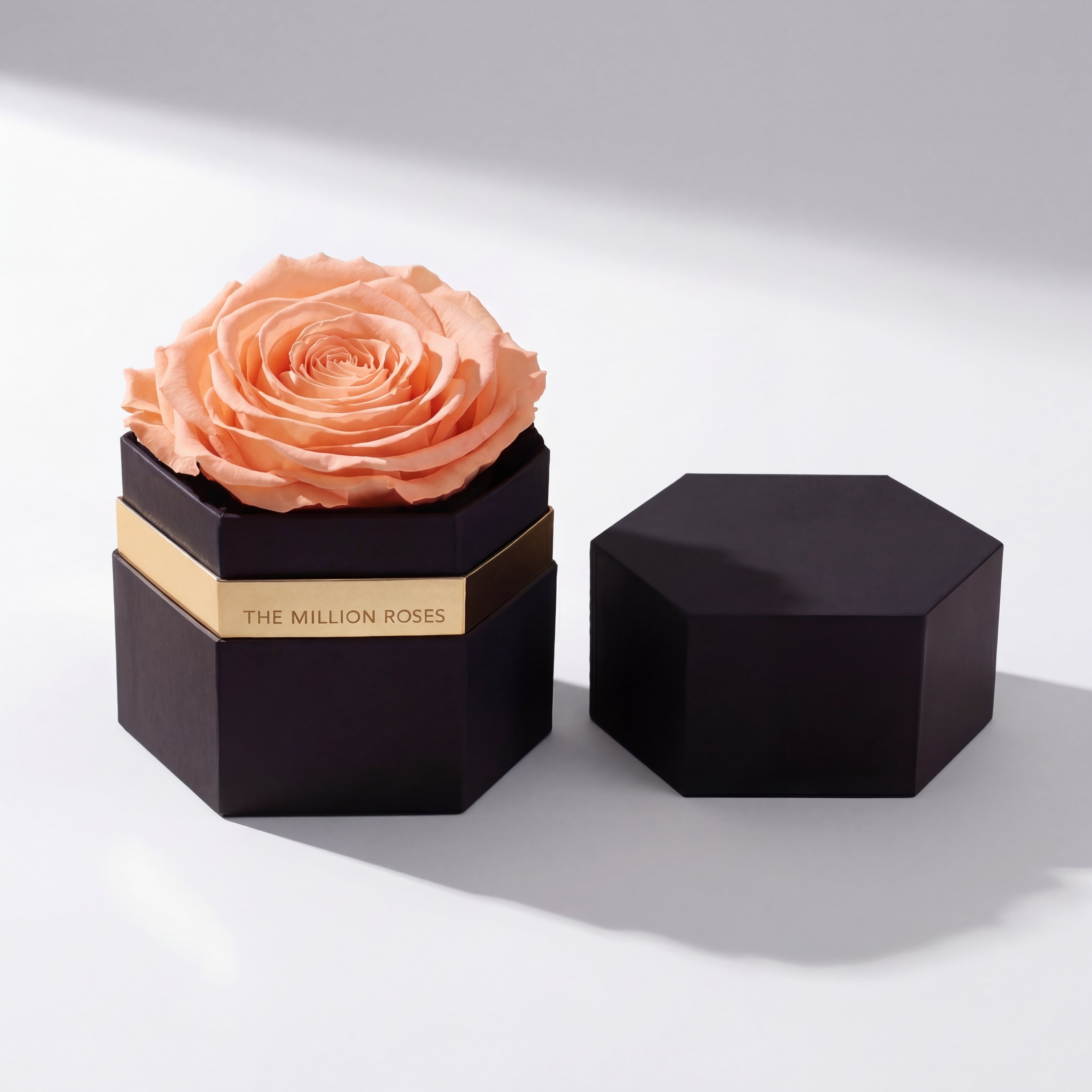 One in a Million™ Black Hexagon Box | Peach Rose