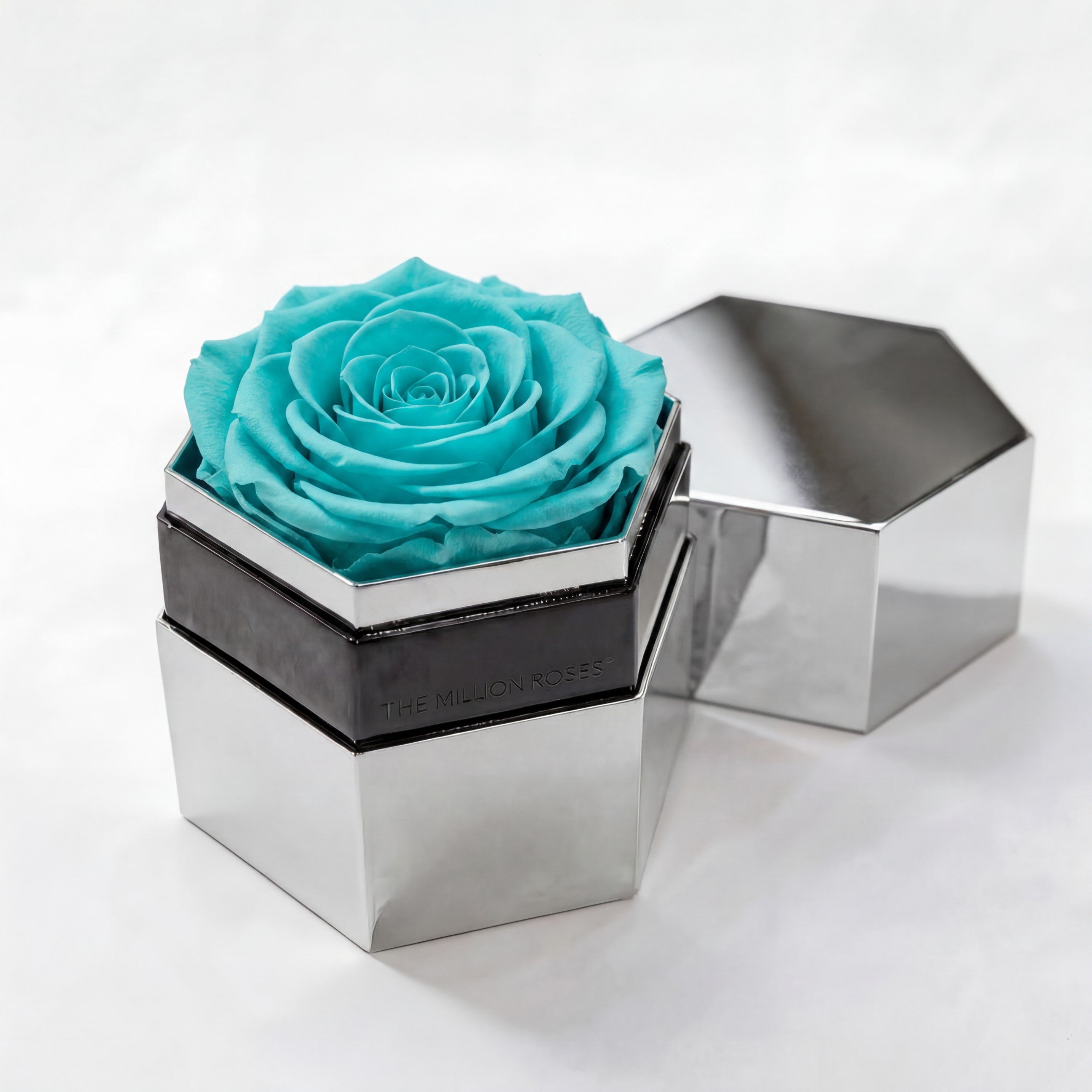 One in a Million™ Mirror Silver Hexagon Box | Turquoise Rose