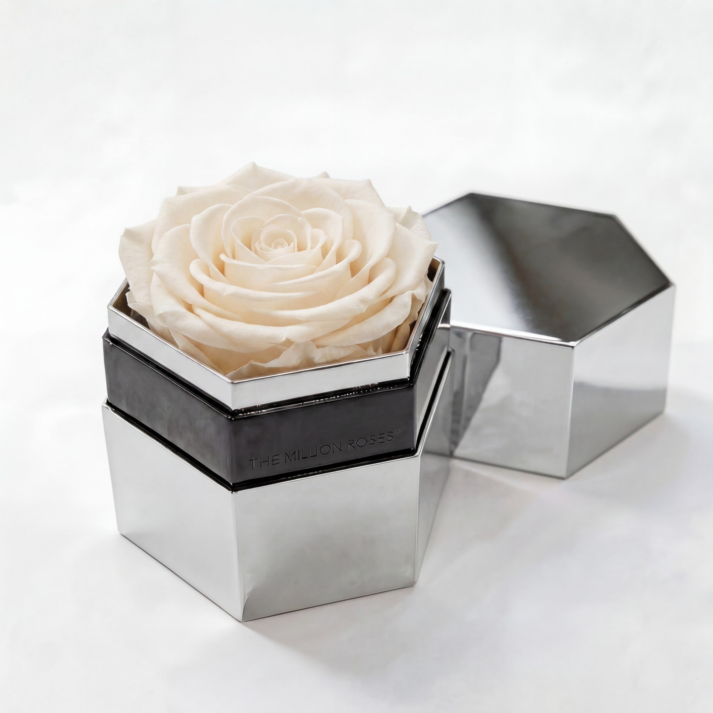 One in a Million™ Mirror Silver Hexagon Box | White Rose
