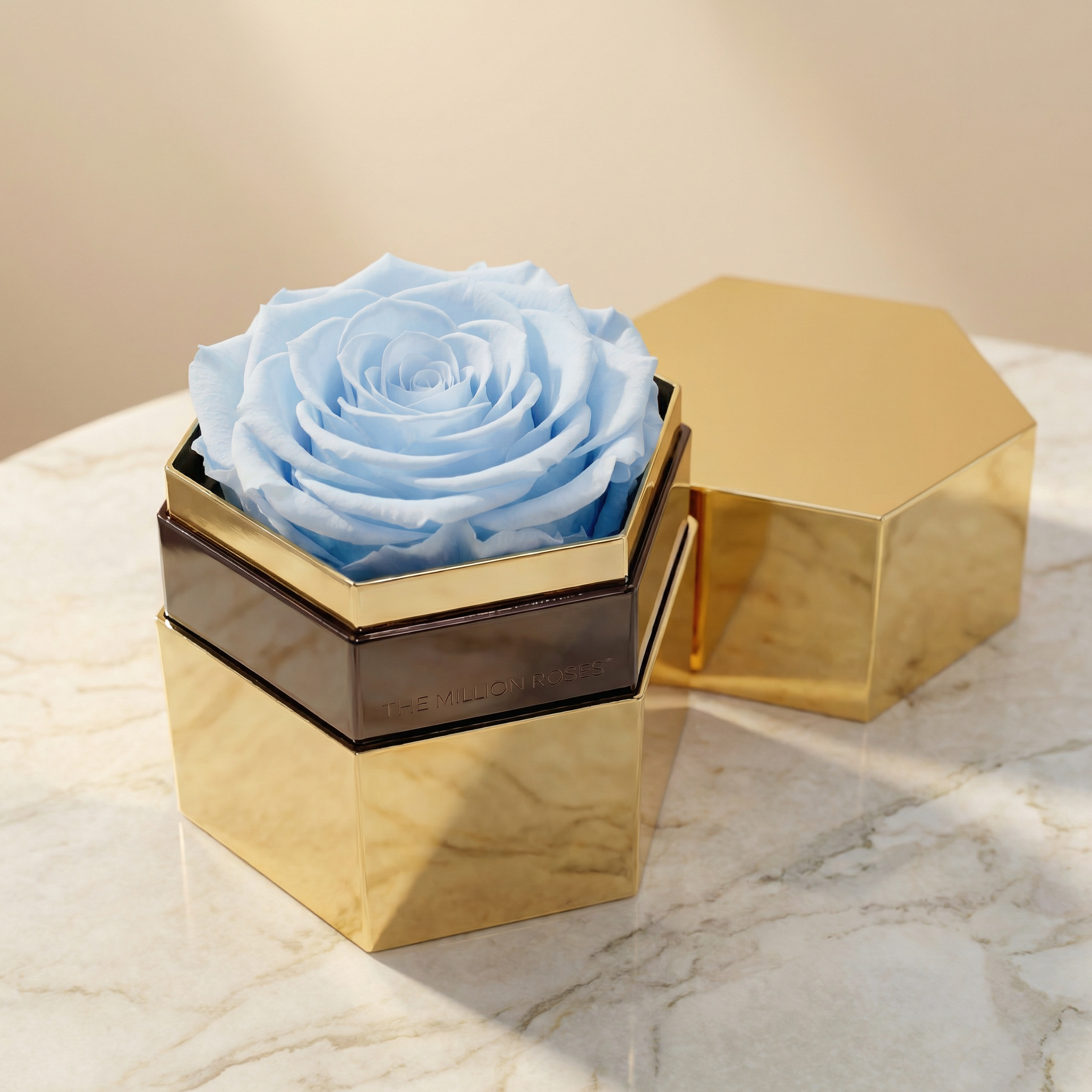 One in a Million™ Mirror Gold Hexagon Box | Light Blue Rose