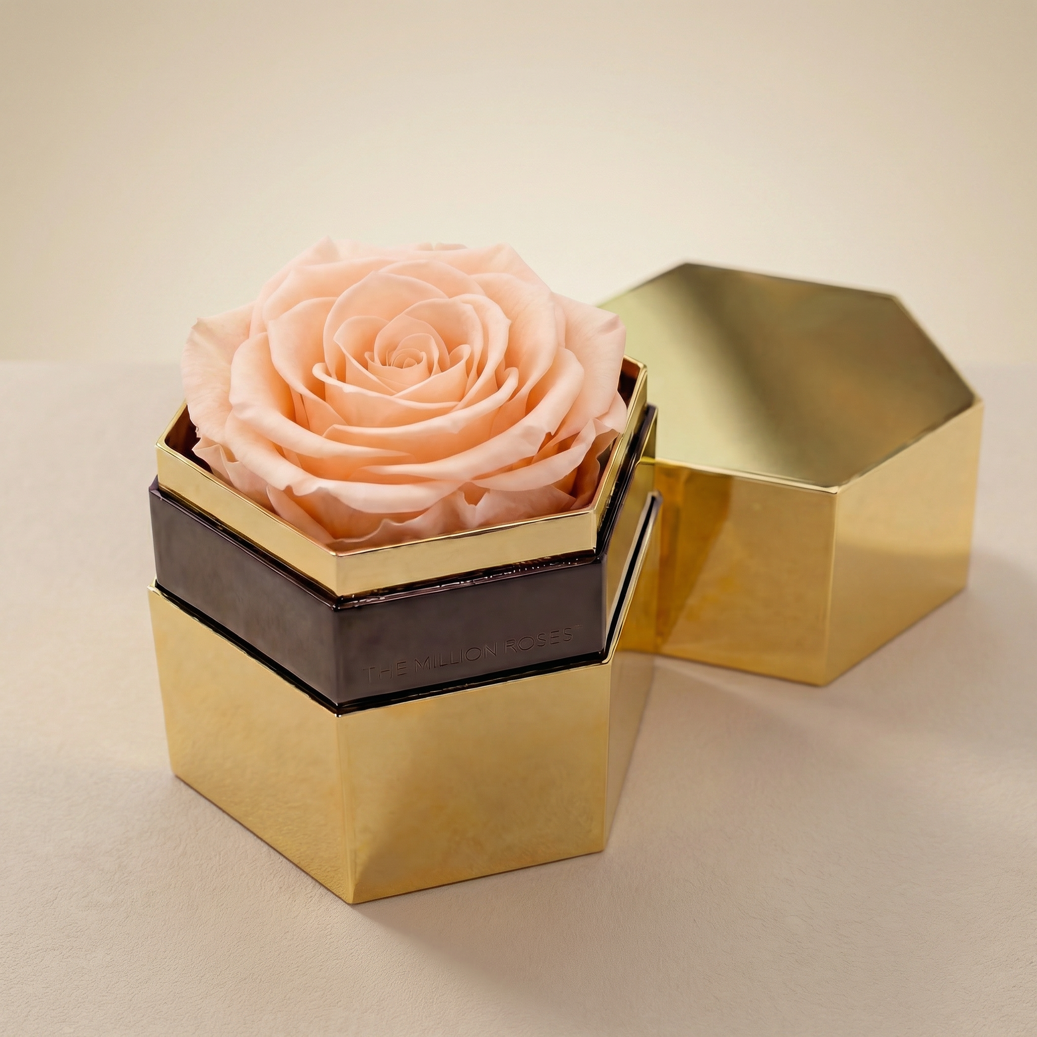One in a Million™ Mirror Gold Hexagon Box | Peach Rose