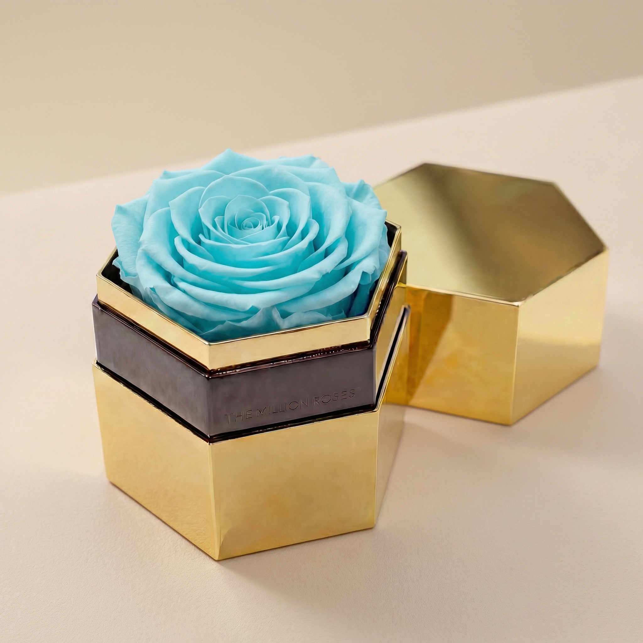 One in a Million™ Mirror Gold Hexagon Box | Turquoise Rose