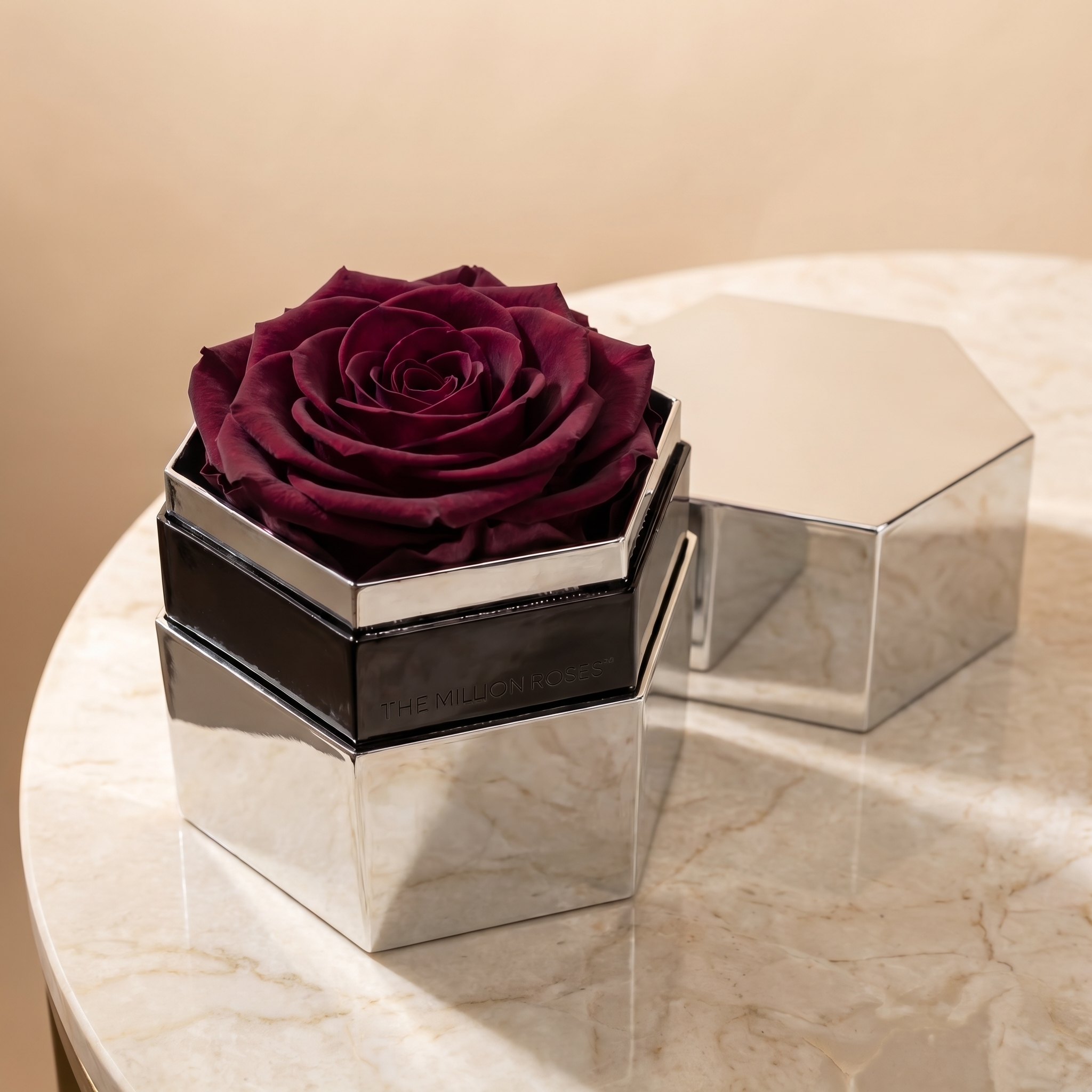 One in a Million™ Mirror Silver Hexagon Box | Burgundy Rose