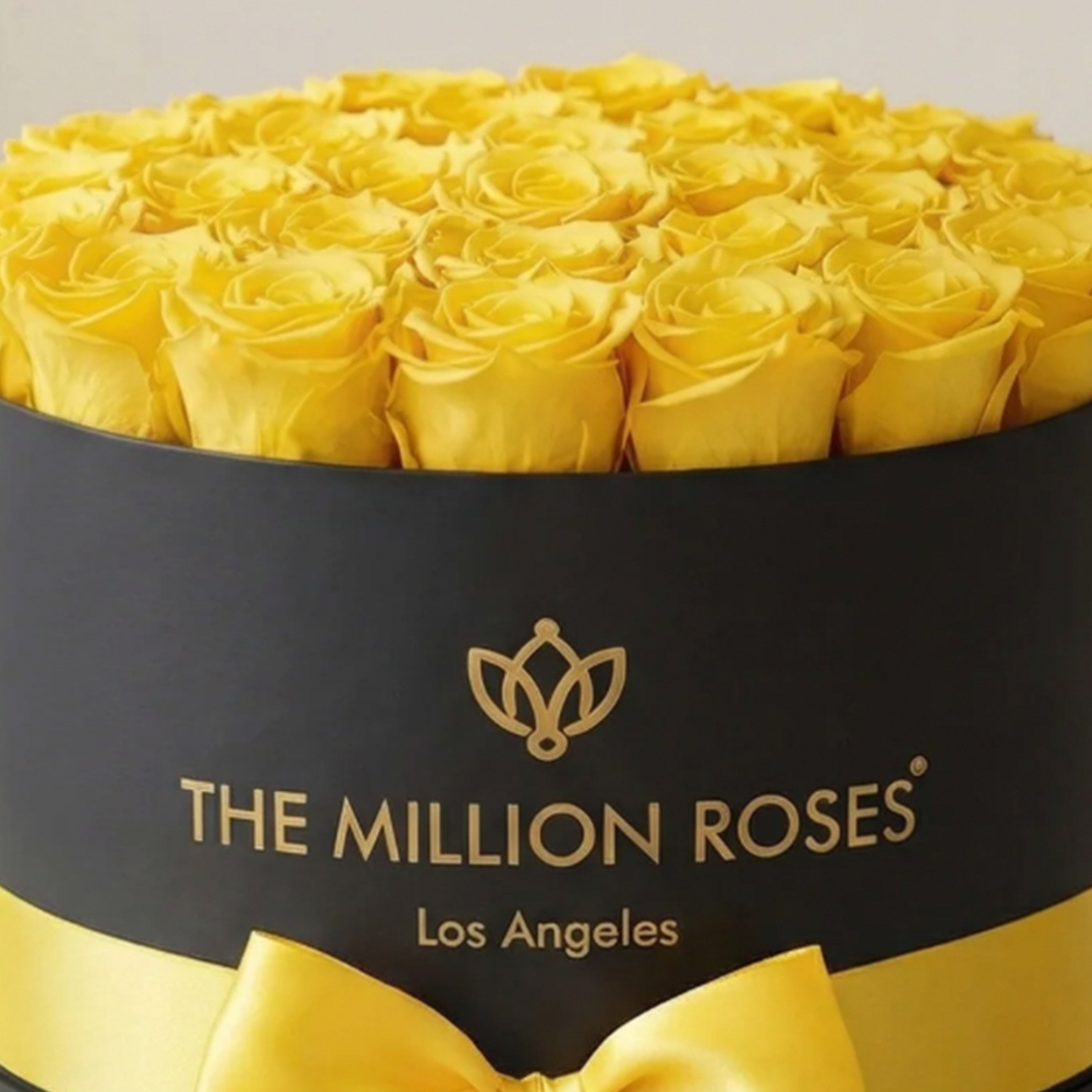 Supreme Black Box | Yellow Roses