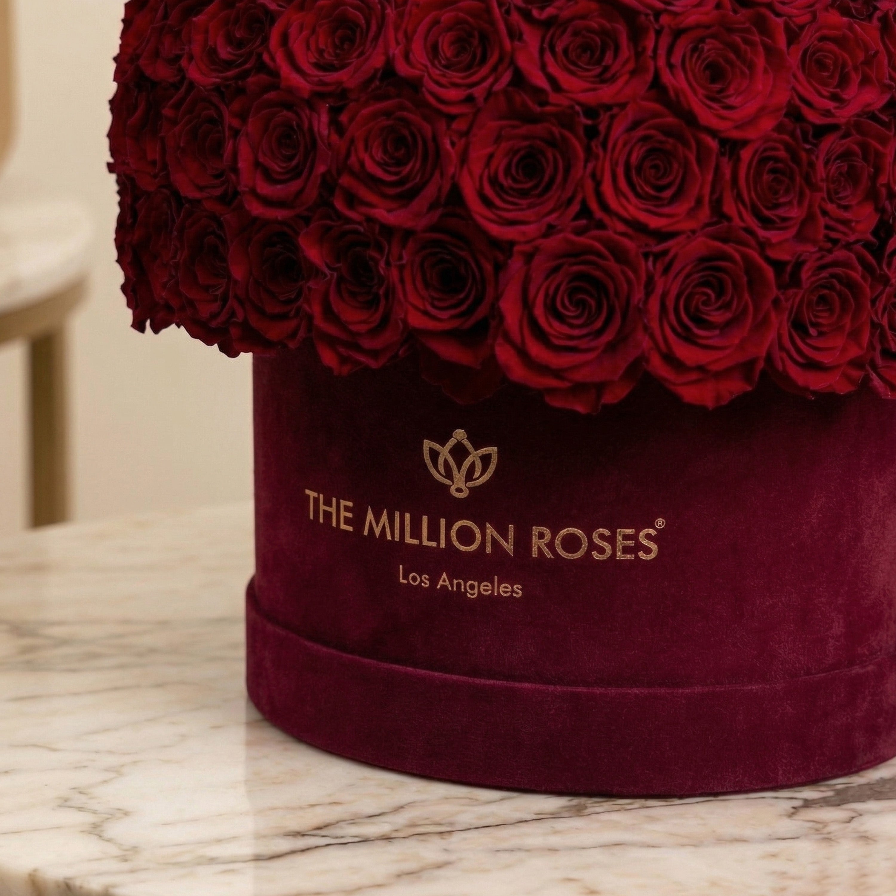 Supreme Bordeaux Wildleder Superdome Box | Burgunderfarbene Rosen