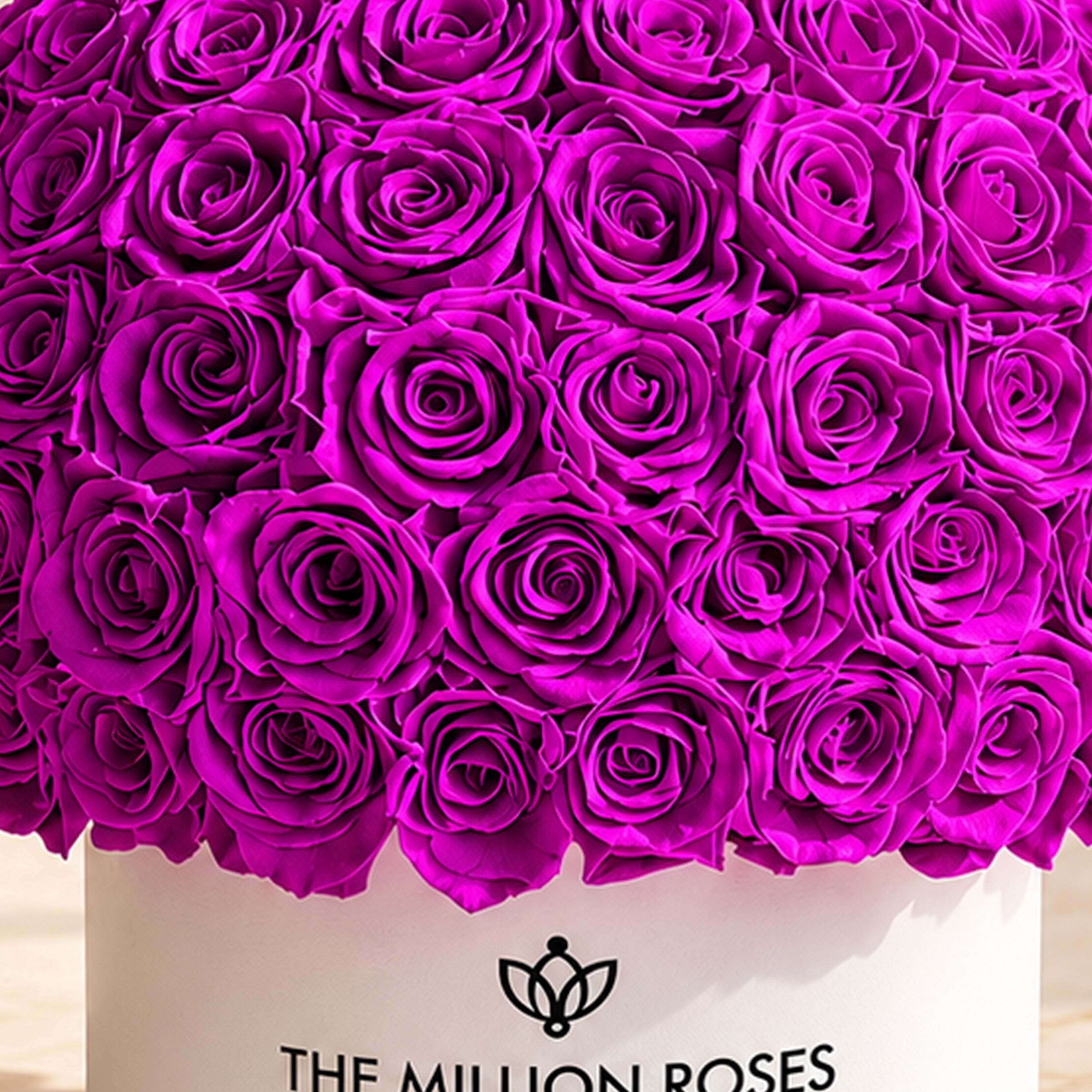 Supreme White Superdome Box | Bright Purple Roses
