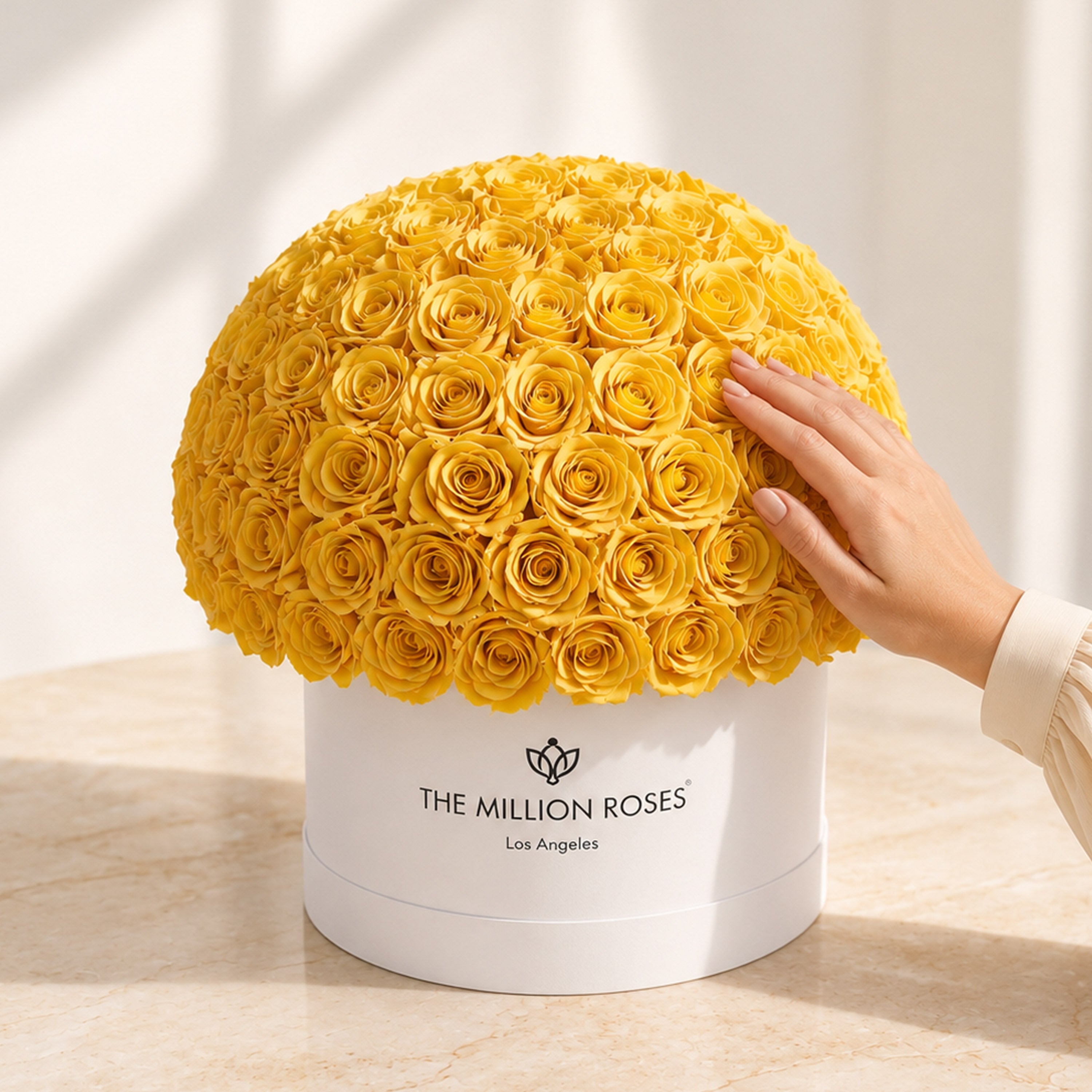 Supreme White Superdome Box | Yellow Roses