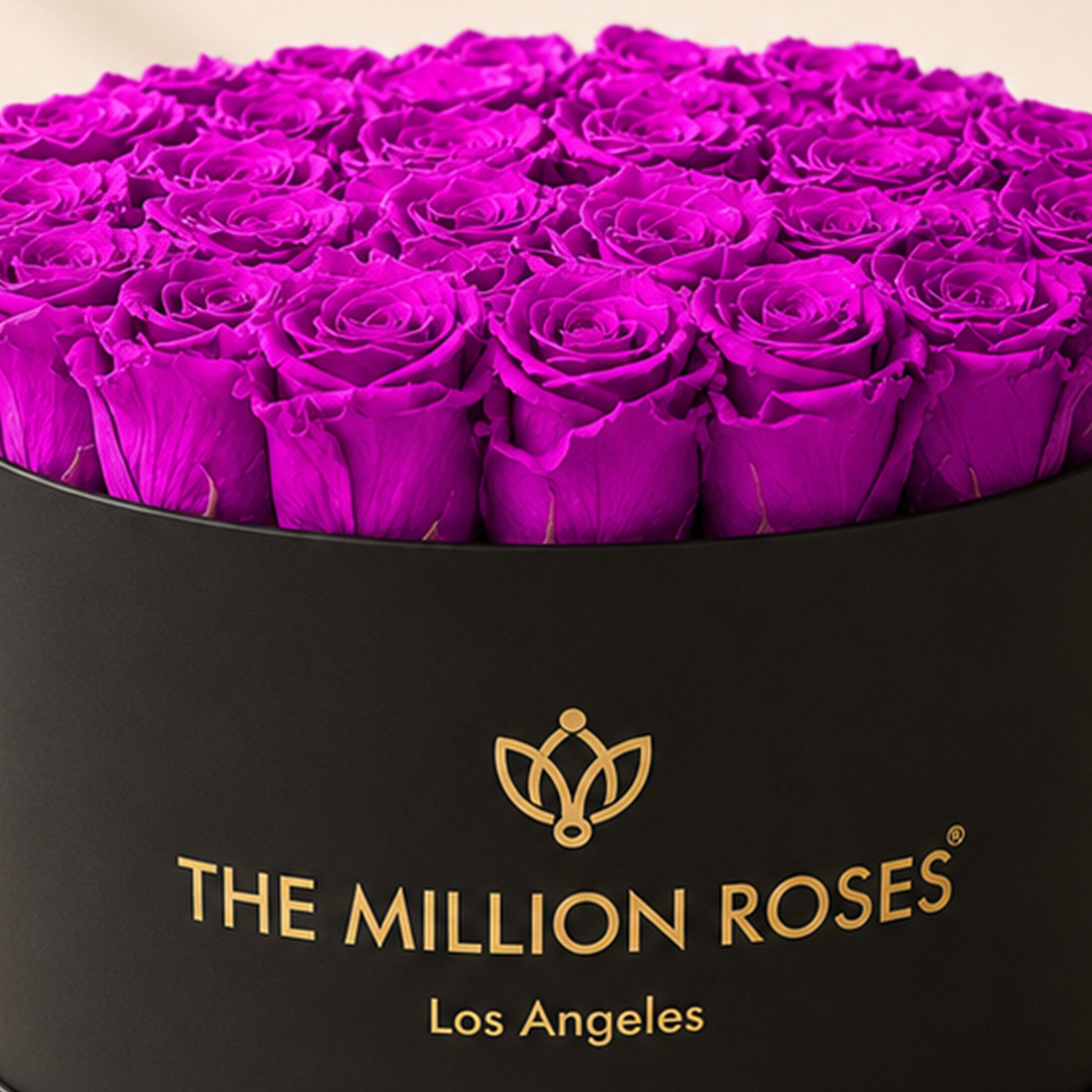 Supreme Black Box | Bright Purple Roses