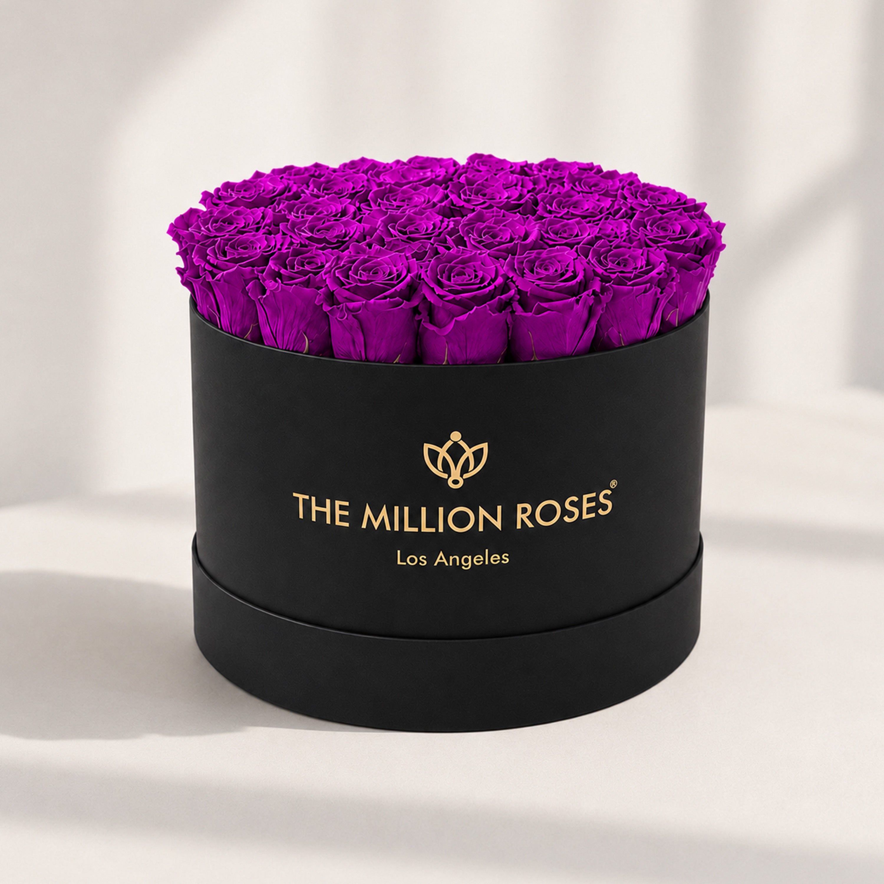 Supreme Black Box | Bright Purple Roses