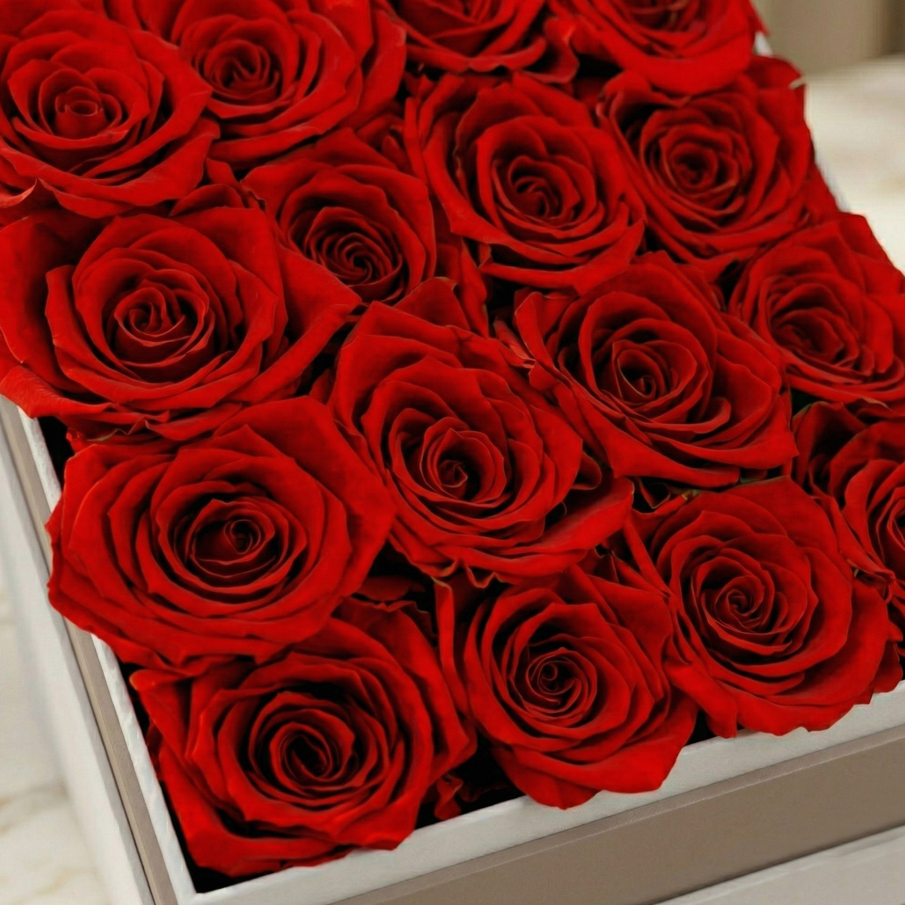 Square White Box | Red Roses