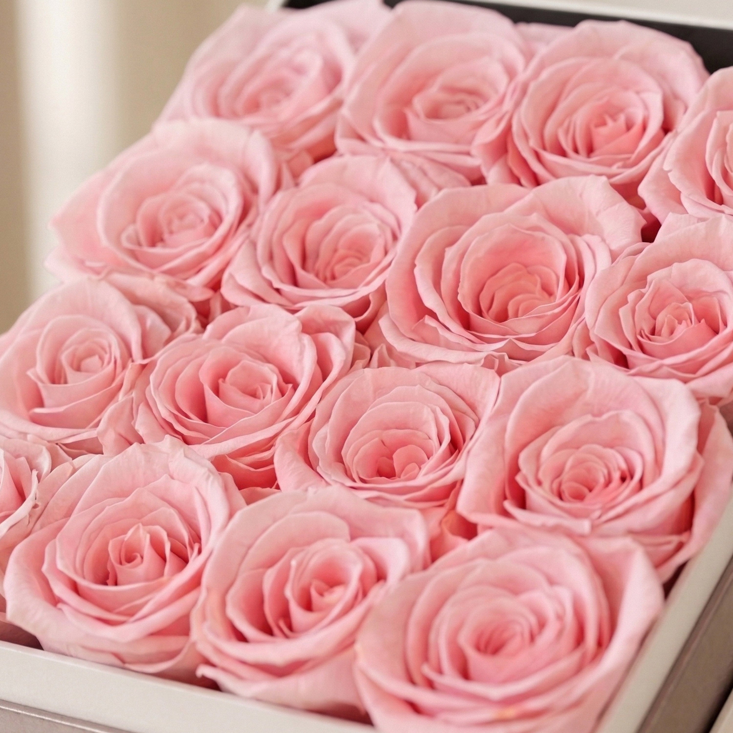 Boîte carrée blanche | Roses rose clair