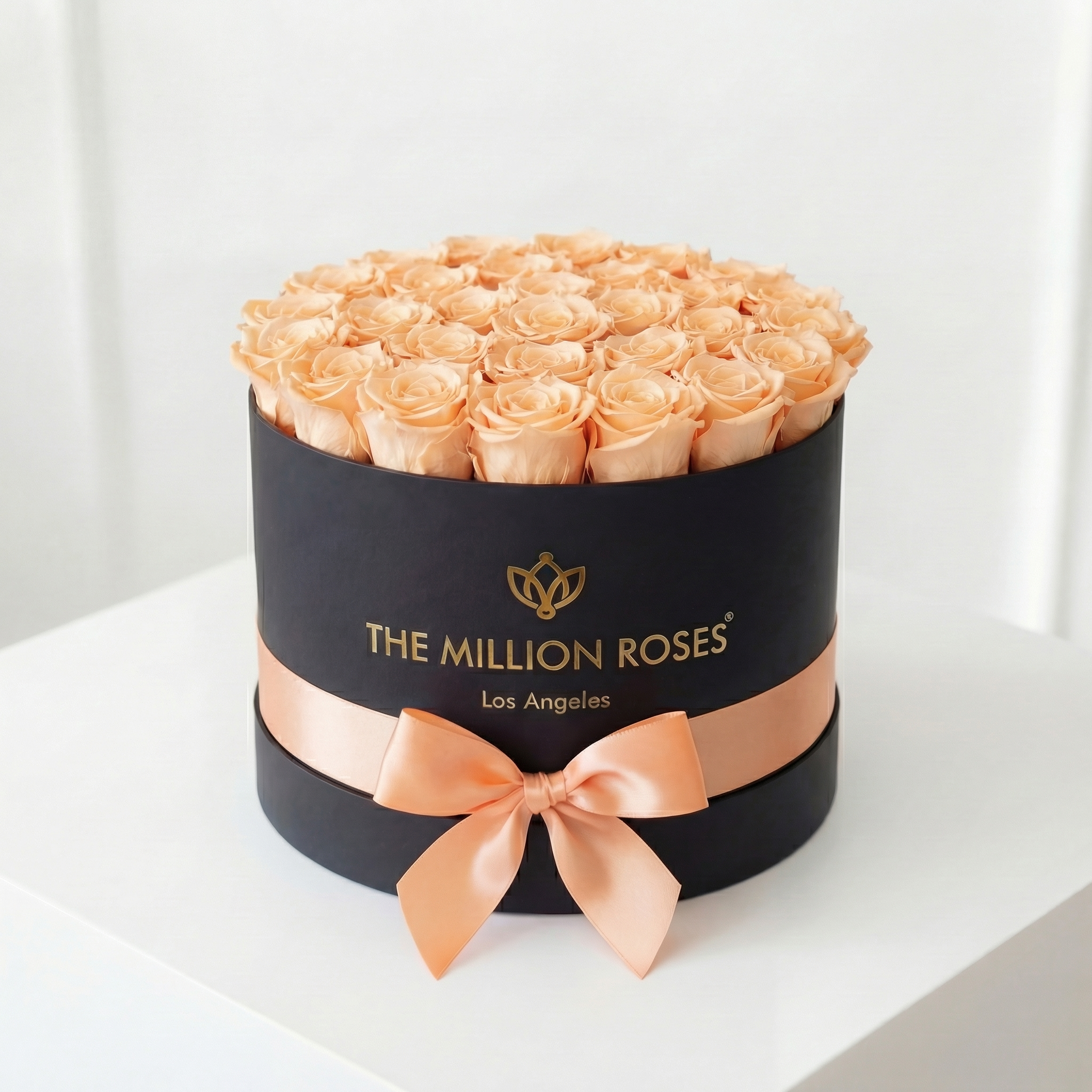 Supreme Black Box | Peach Roses