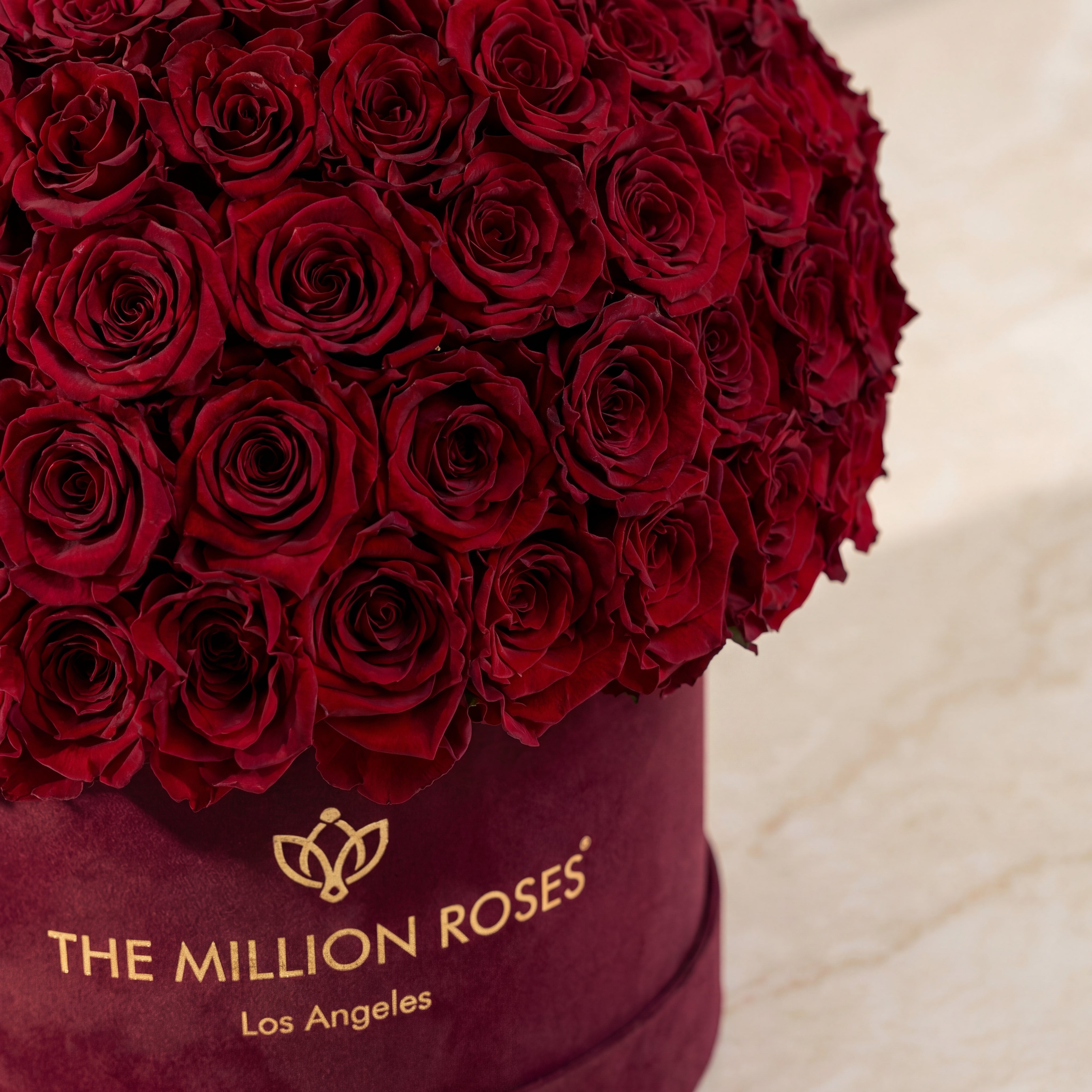 Supreme Bordeaux Wildleder Superdome Box | Burgunderfarbene Rosen