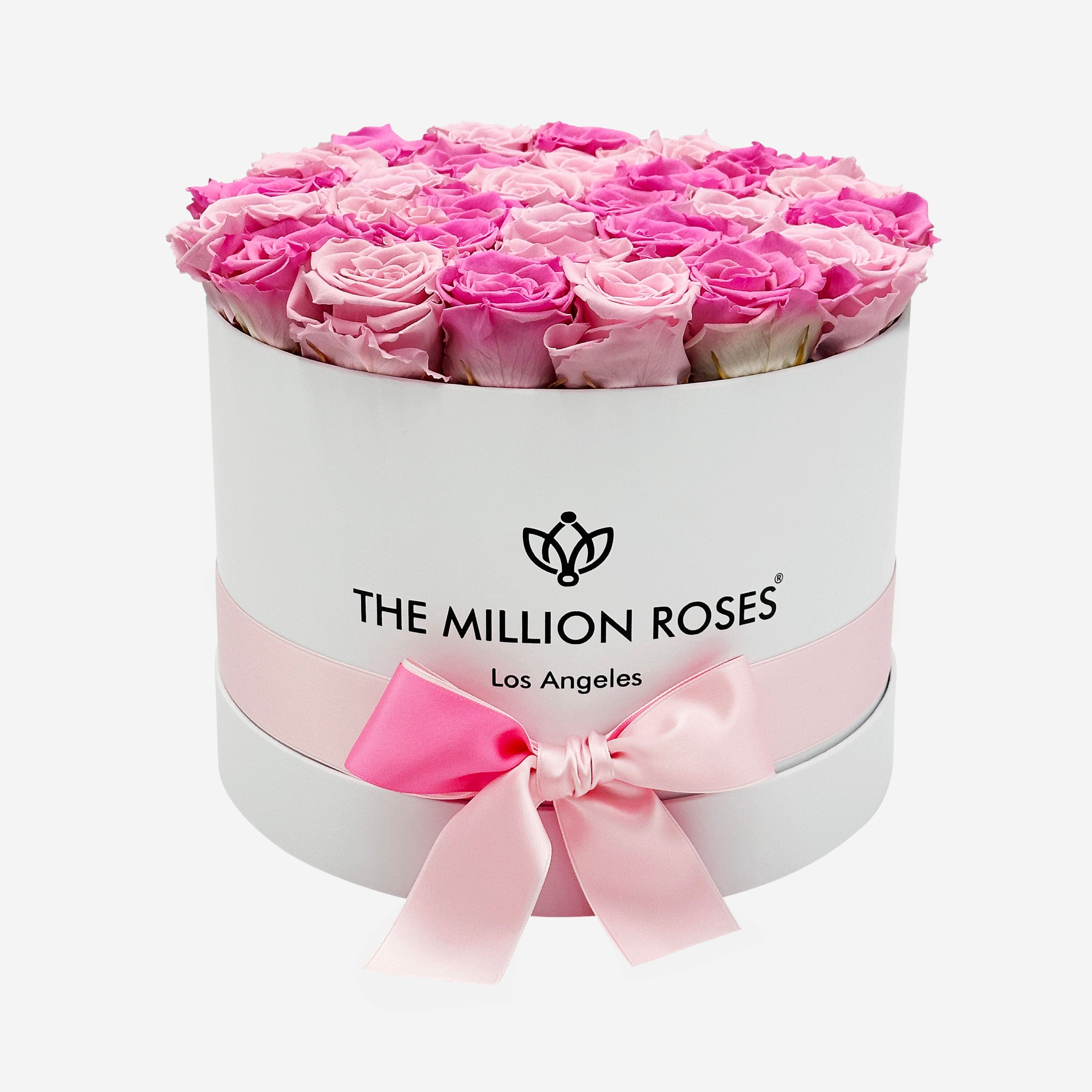 Cutie albă supremă | Trandafiri roz bomboane și roz deschis