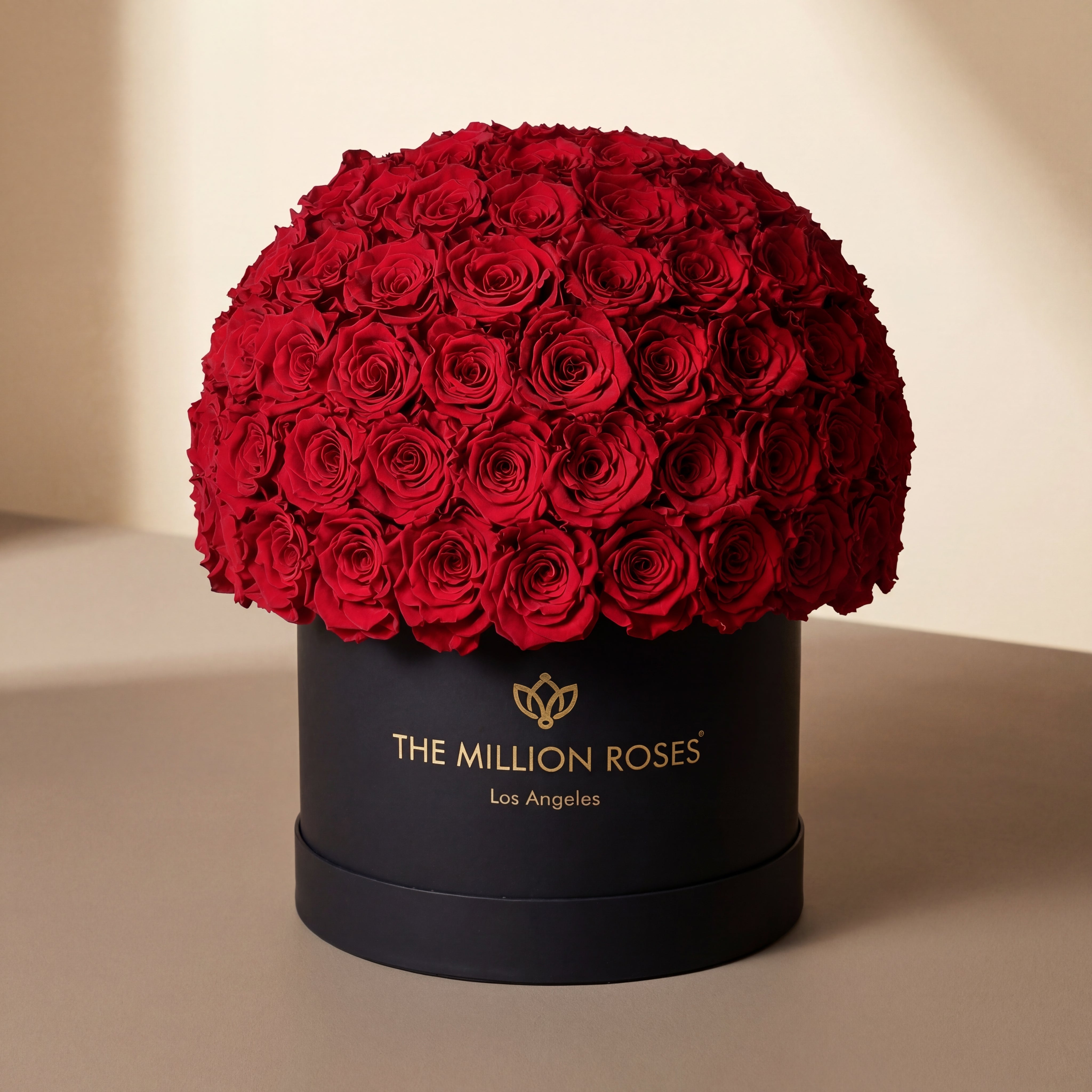 Supreme Black Superdome Box | Red Roses